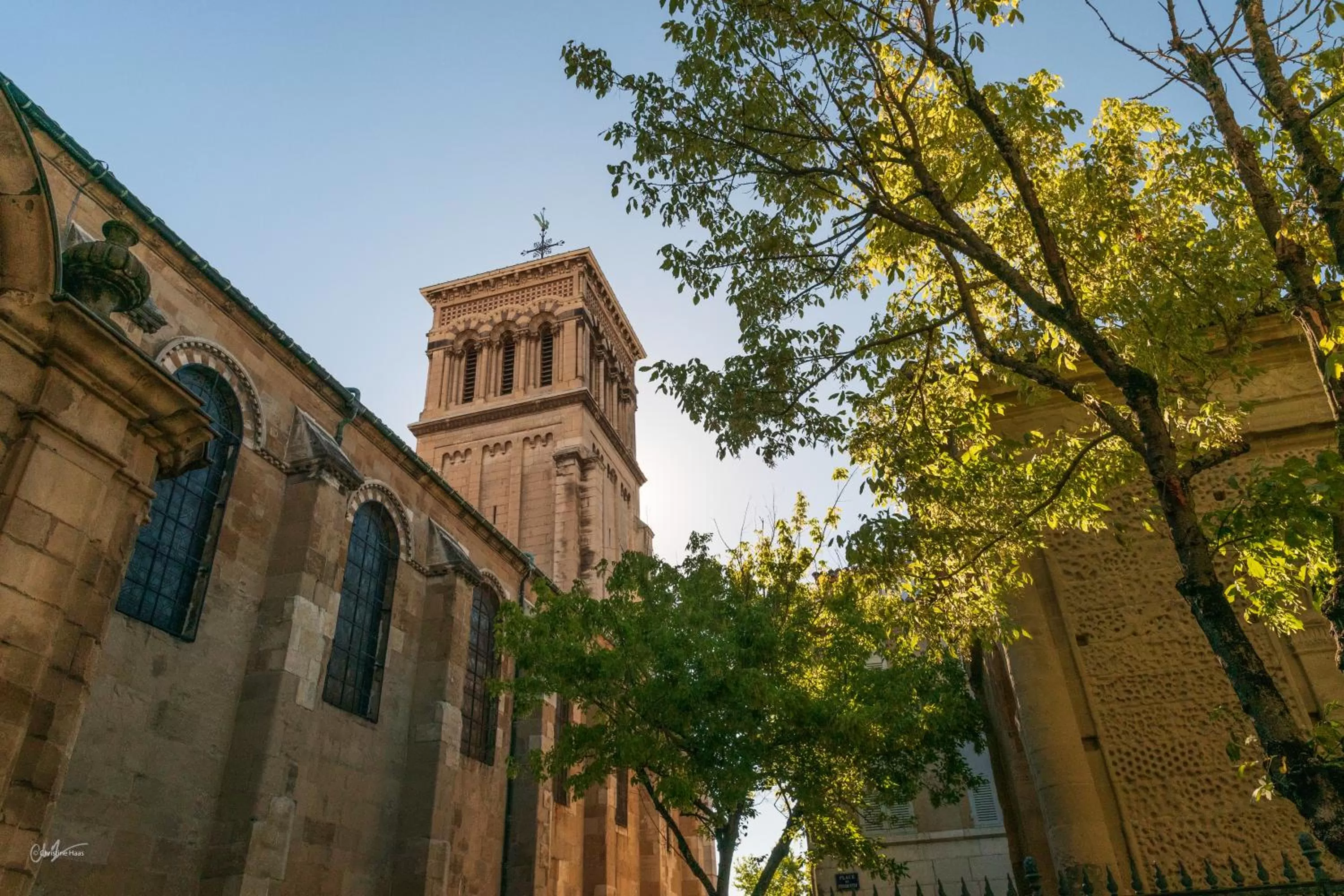 Other in Cerise Valence