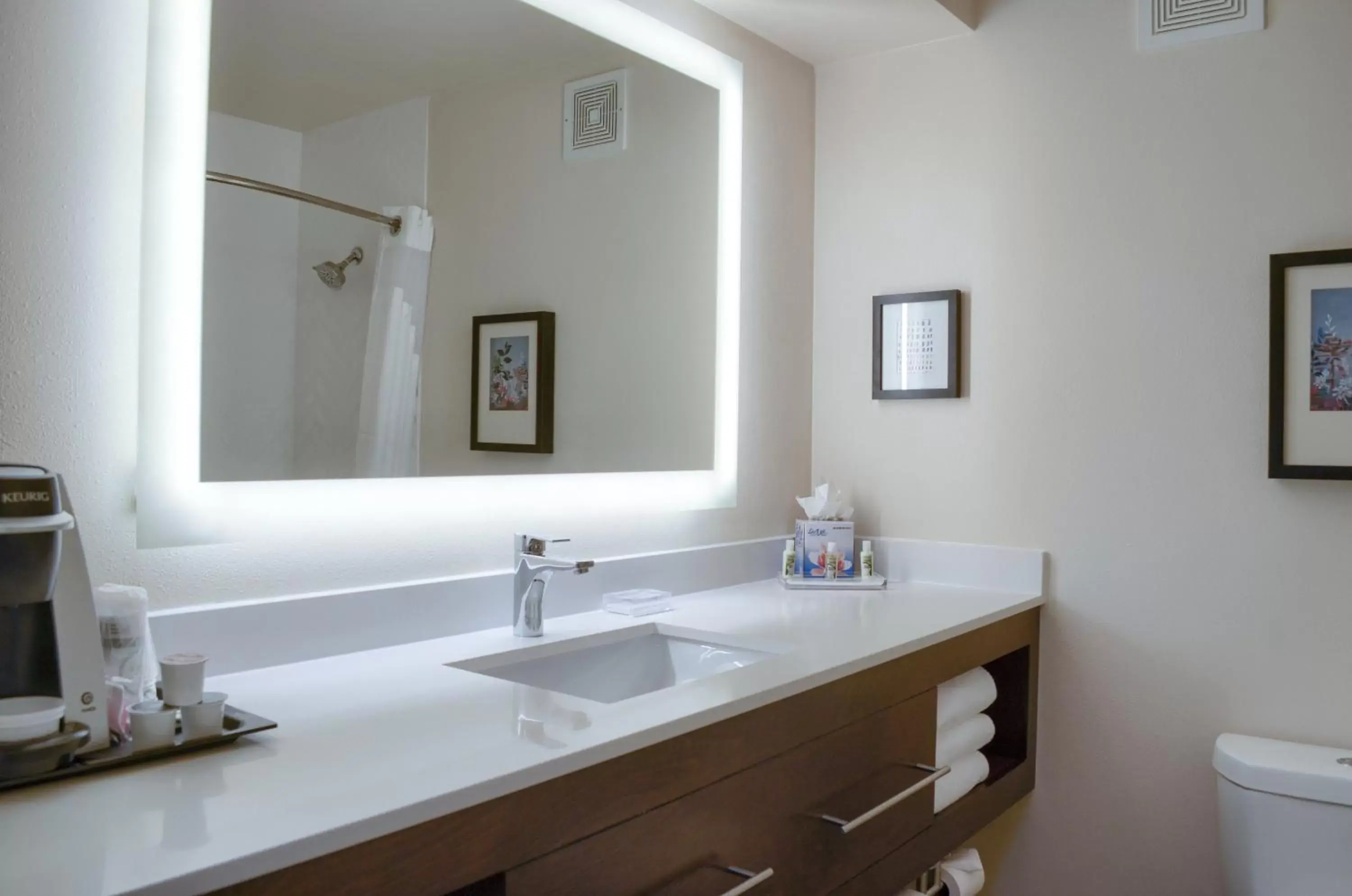 King Room with Mobility Accessible Roll-In Shower - Non-Smoking in Holiday Inn Mobile West I-10, an IHG Hotel King Room with Mobility Accessible Roll-In Shower - Non-Smoking in Holiday Inn Mobile West I-10, an IHG Hotel