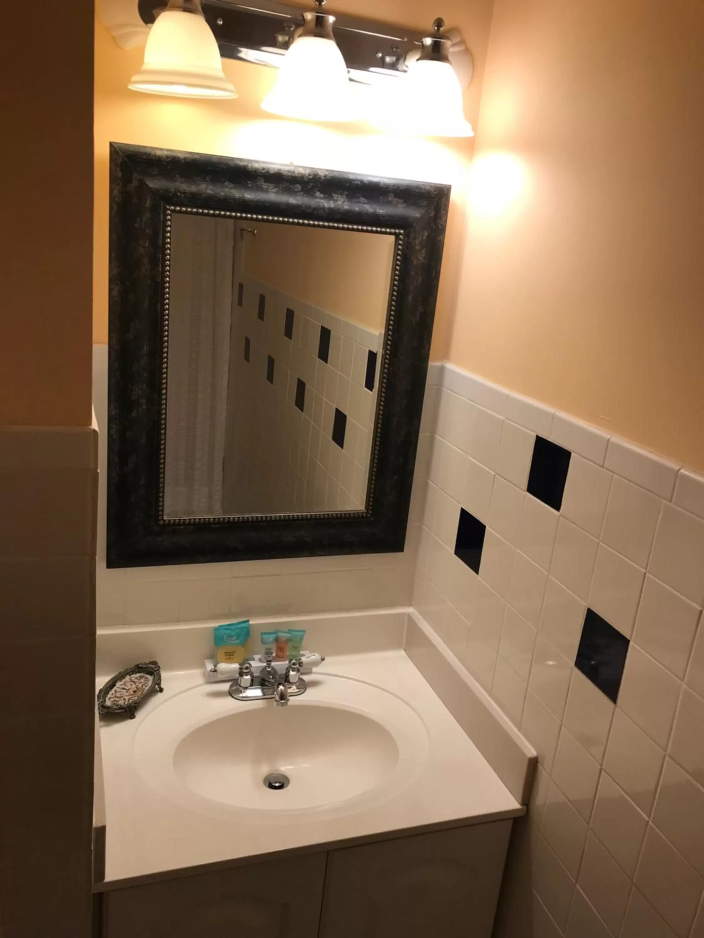 Toilet in Elaine's Cape May Boutique Hotel