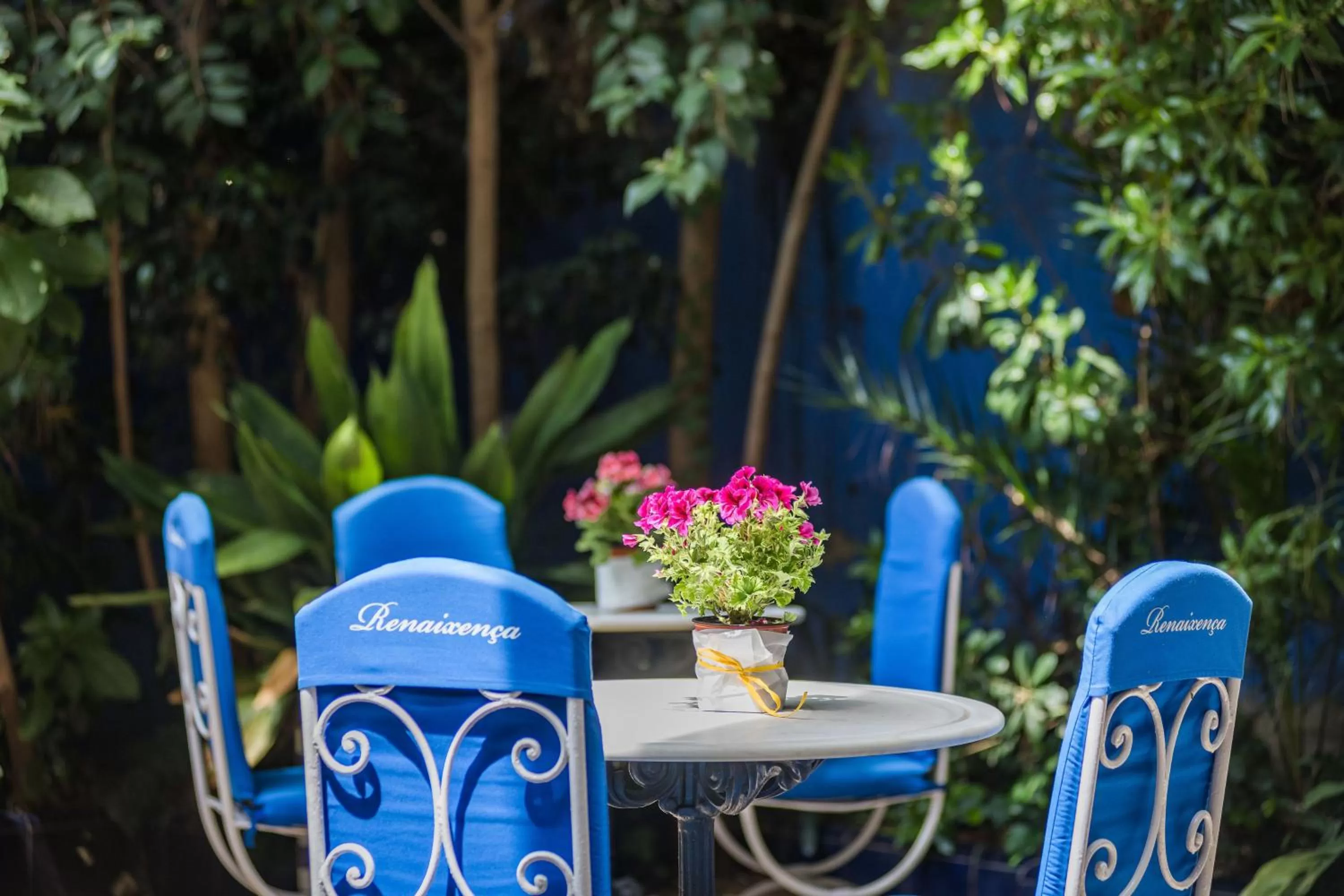 Garden in Hotel Medium Renaixença