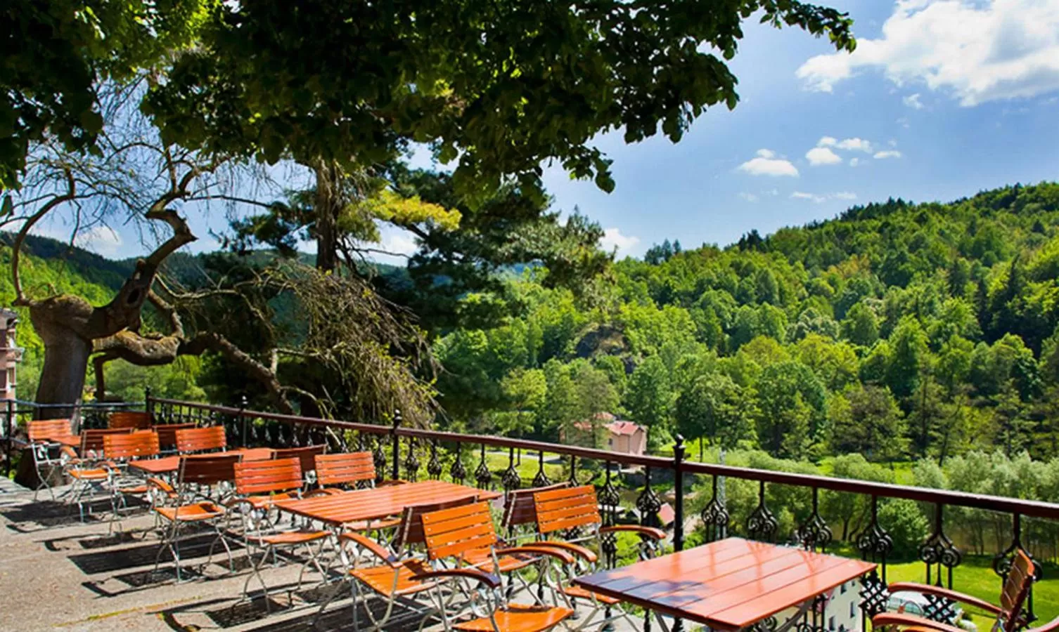 Balcony/Terrace in Hotel U Bílého koně
