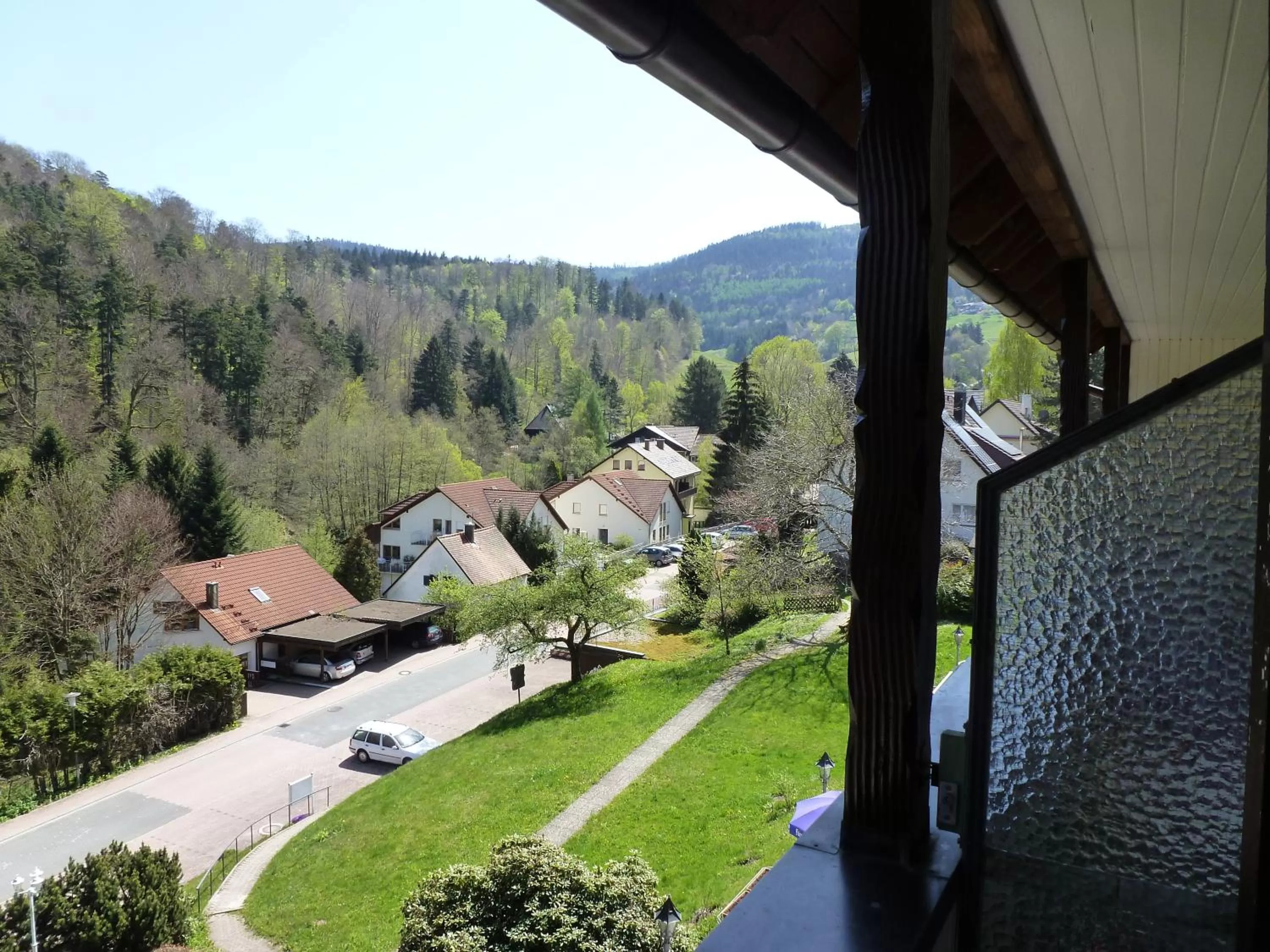 View (from property/room) in Waldschlösschen