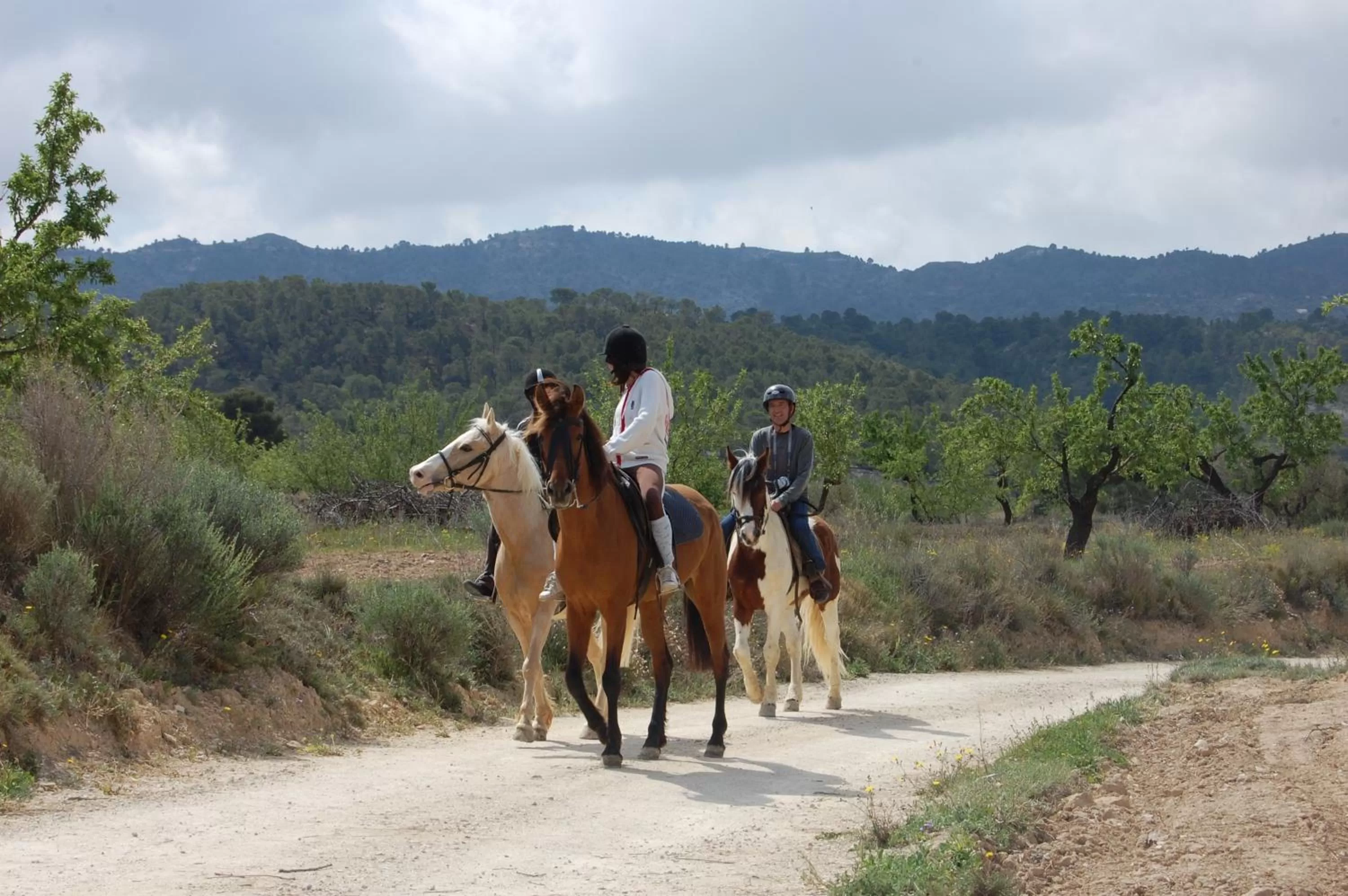 Horse-riding in El Pao Spa