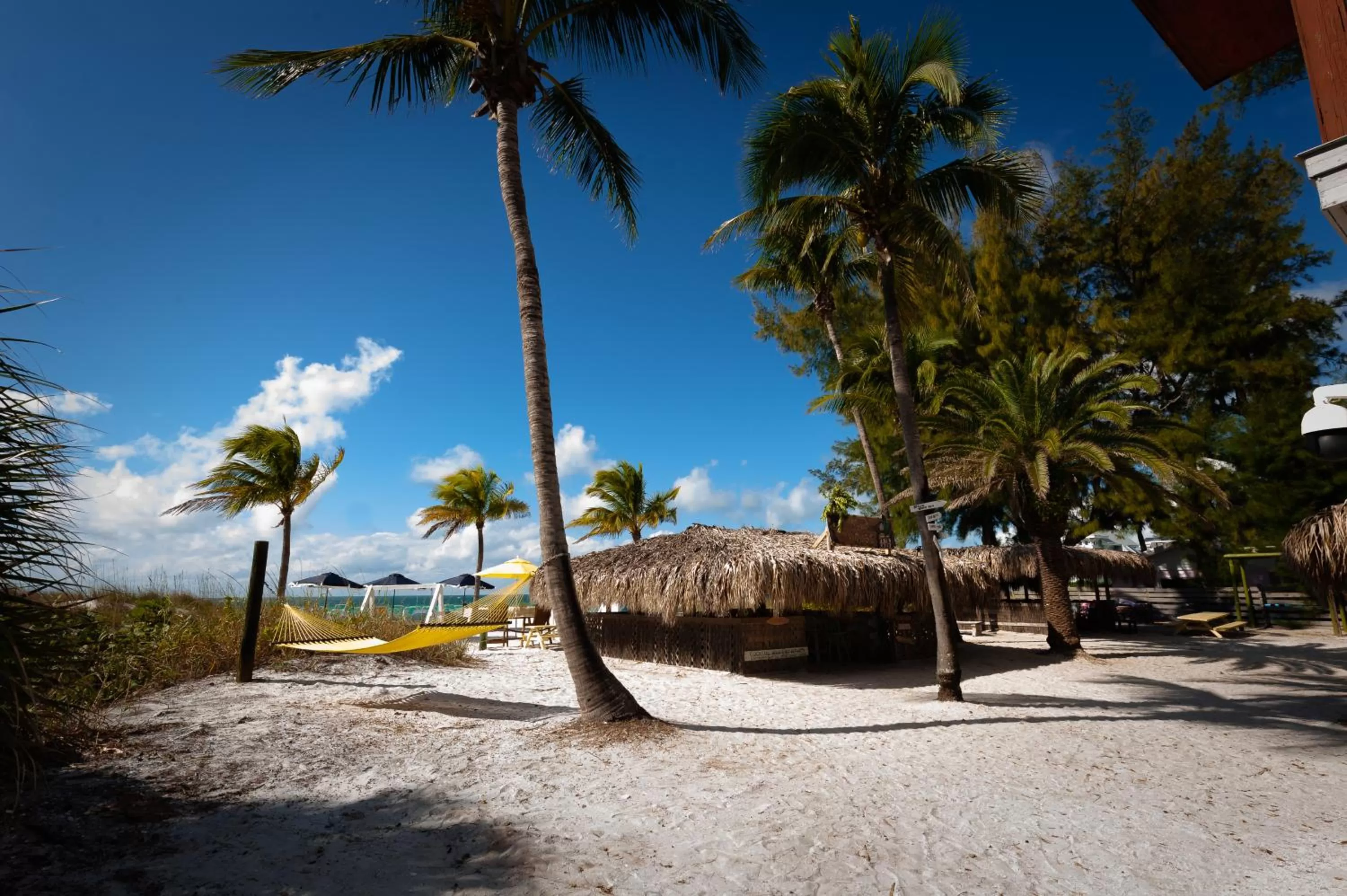 Beach in Cedar Cove Resort & Cottages