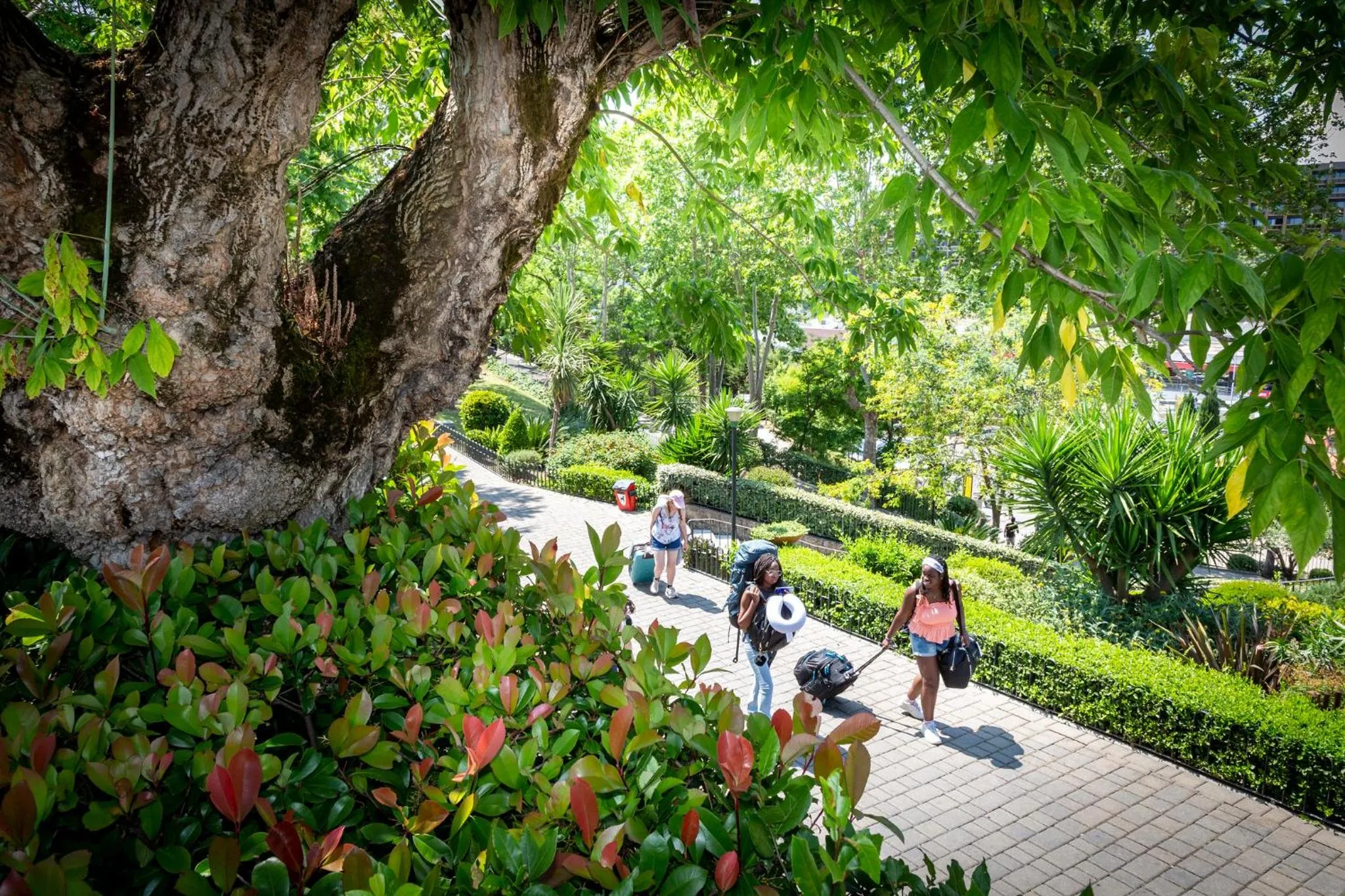 Property building in hu Roma Camping In Town