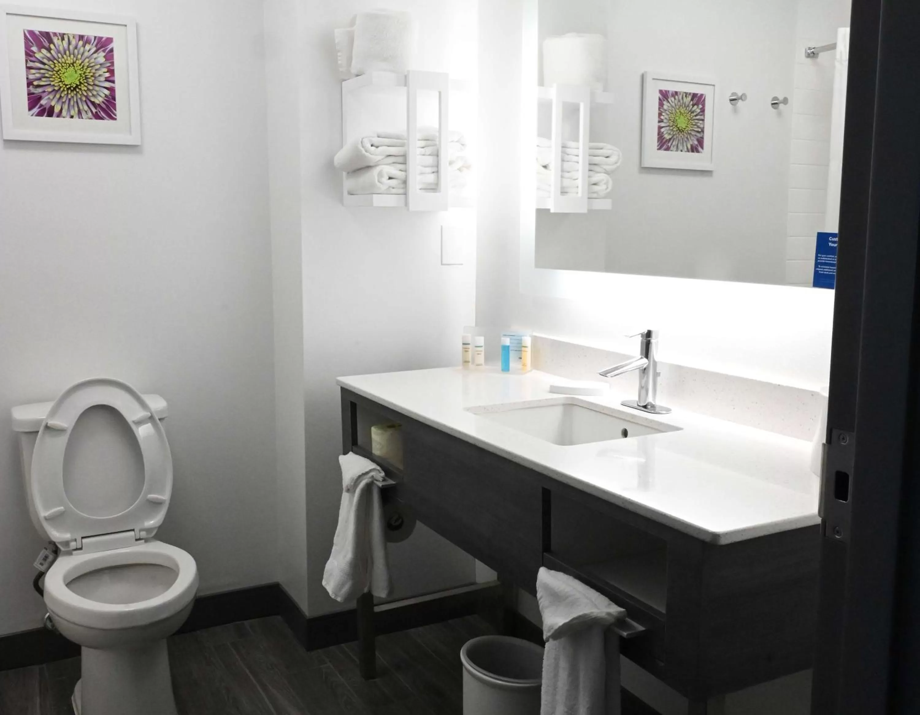 Bathroom in Hampton Inn Valdosta/Lake Park Area