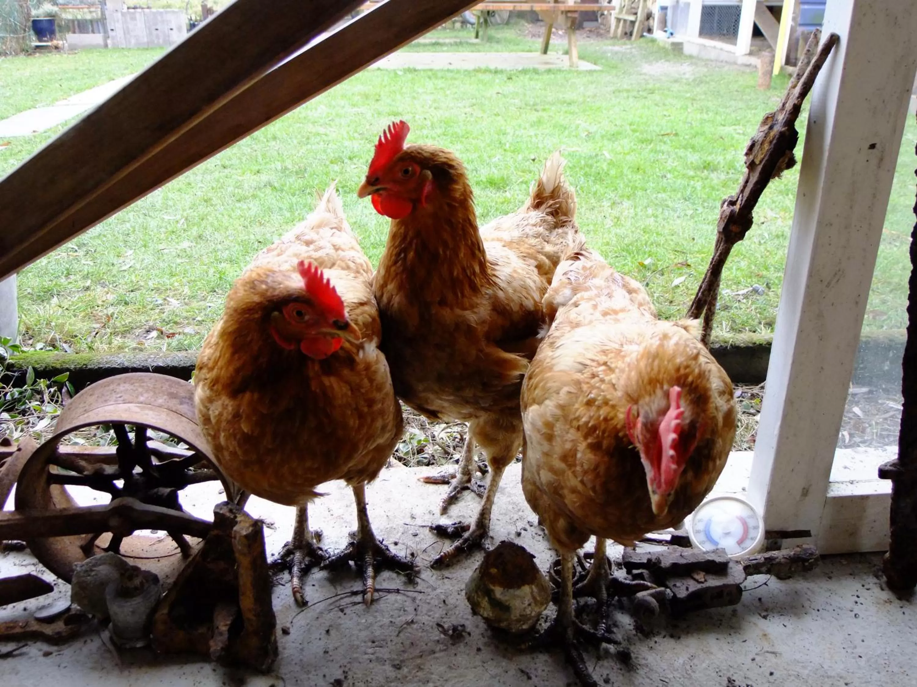 Property building in 14-18 Meuse-Argonne