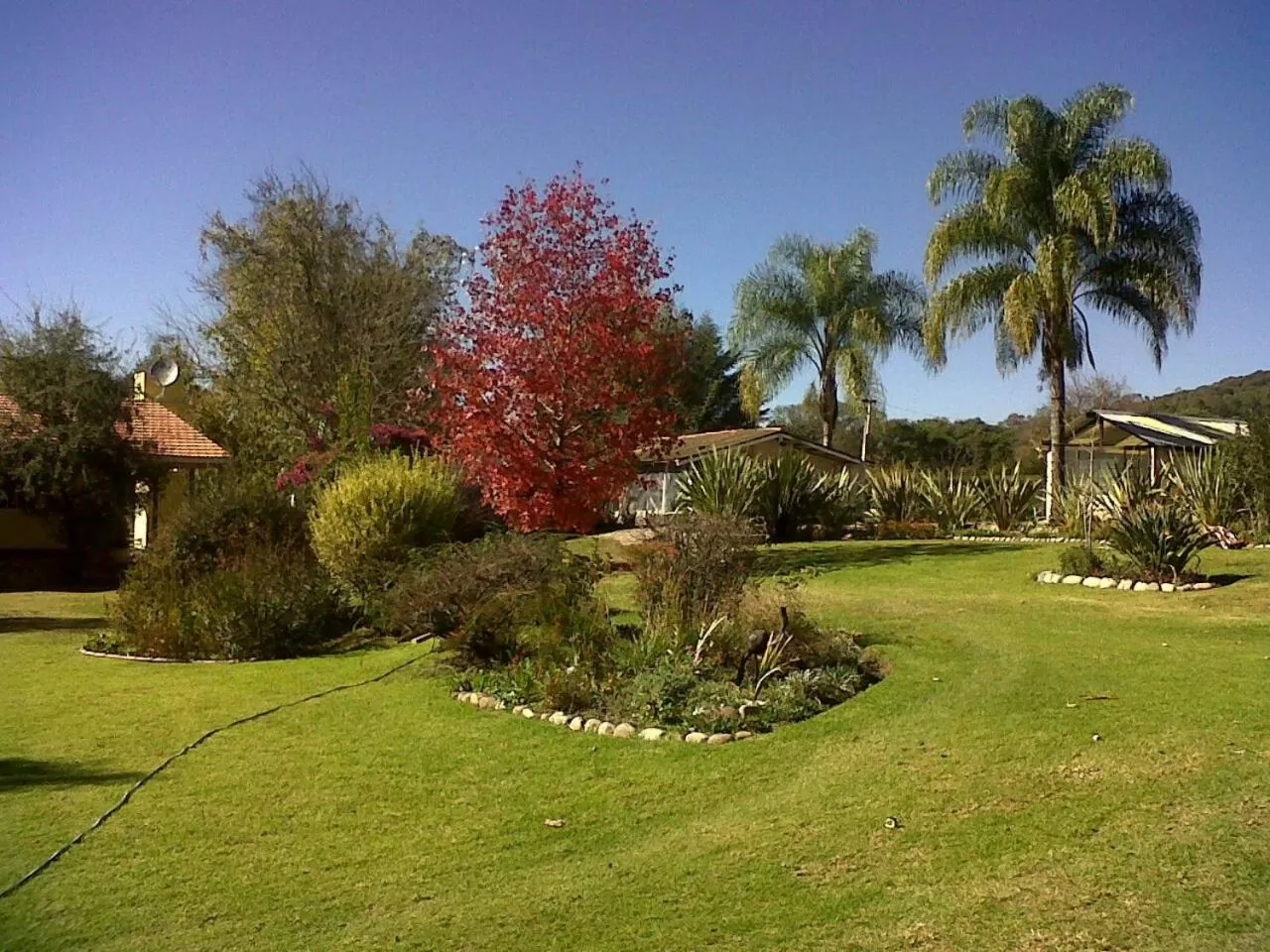 Garden view in Finca Cielo Verde