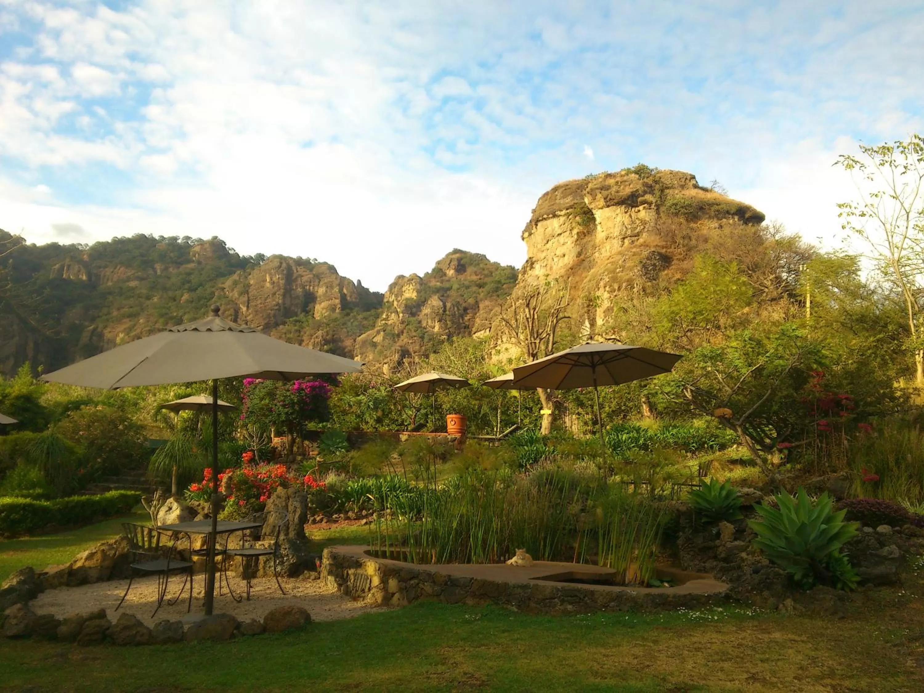 Natural landscape in Valle Místico Hotel Boutique