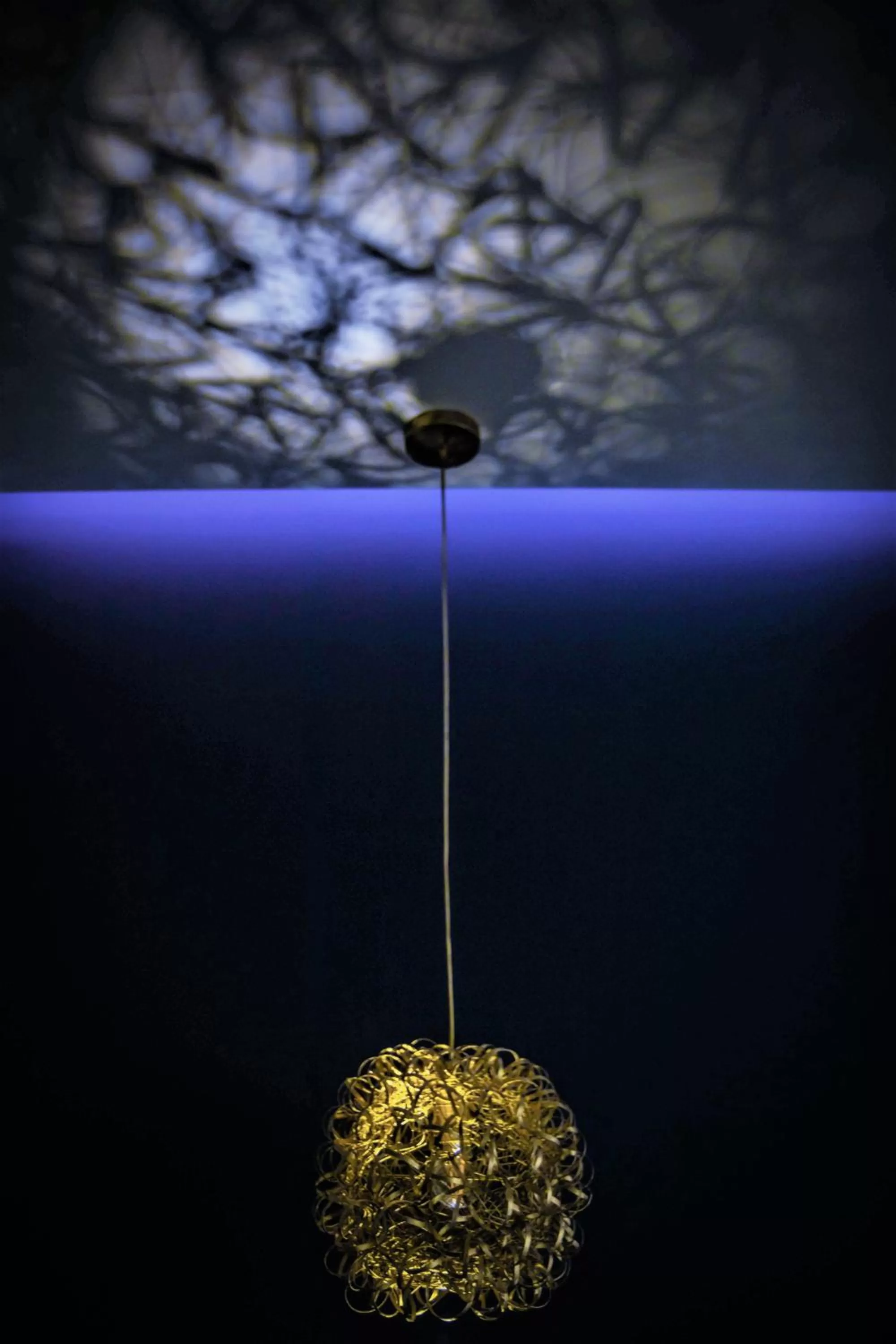 Area and facilities in DESIGN SUITES Boutique Hotel - Adults Only