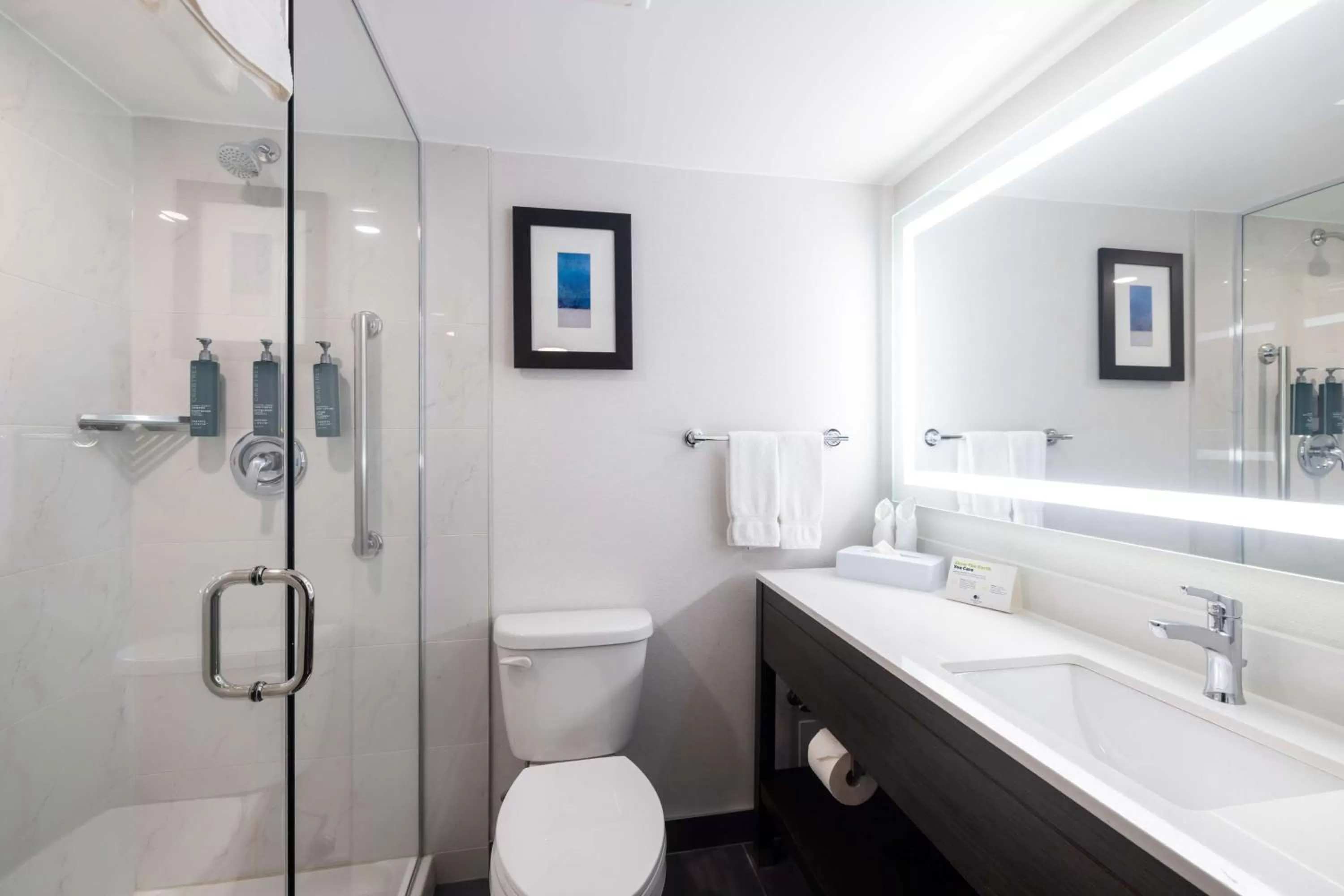 Bathroom in DoubleTree by Hilton Calgary North