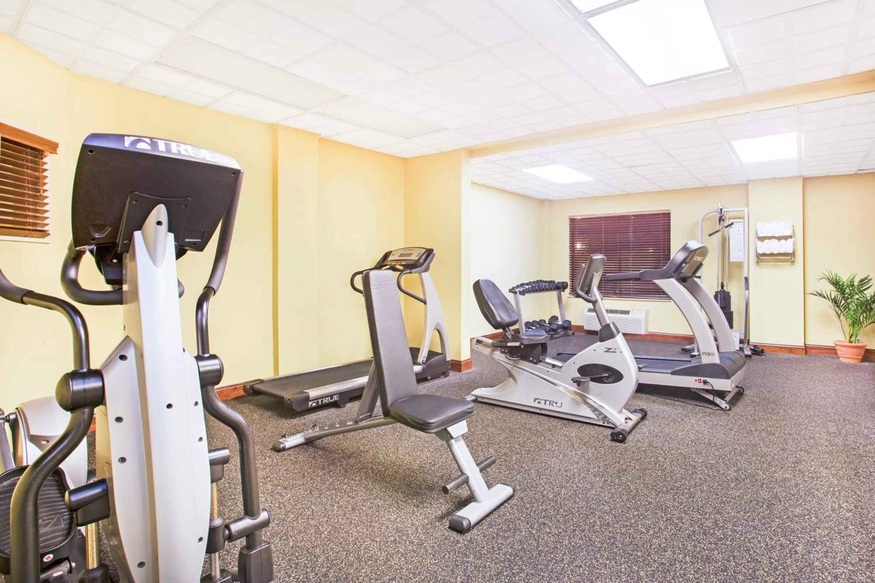 Fitness centre/facilities in Holiday Inn Express & Suites - Mobile - I-65 by IHG