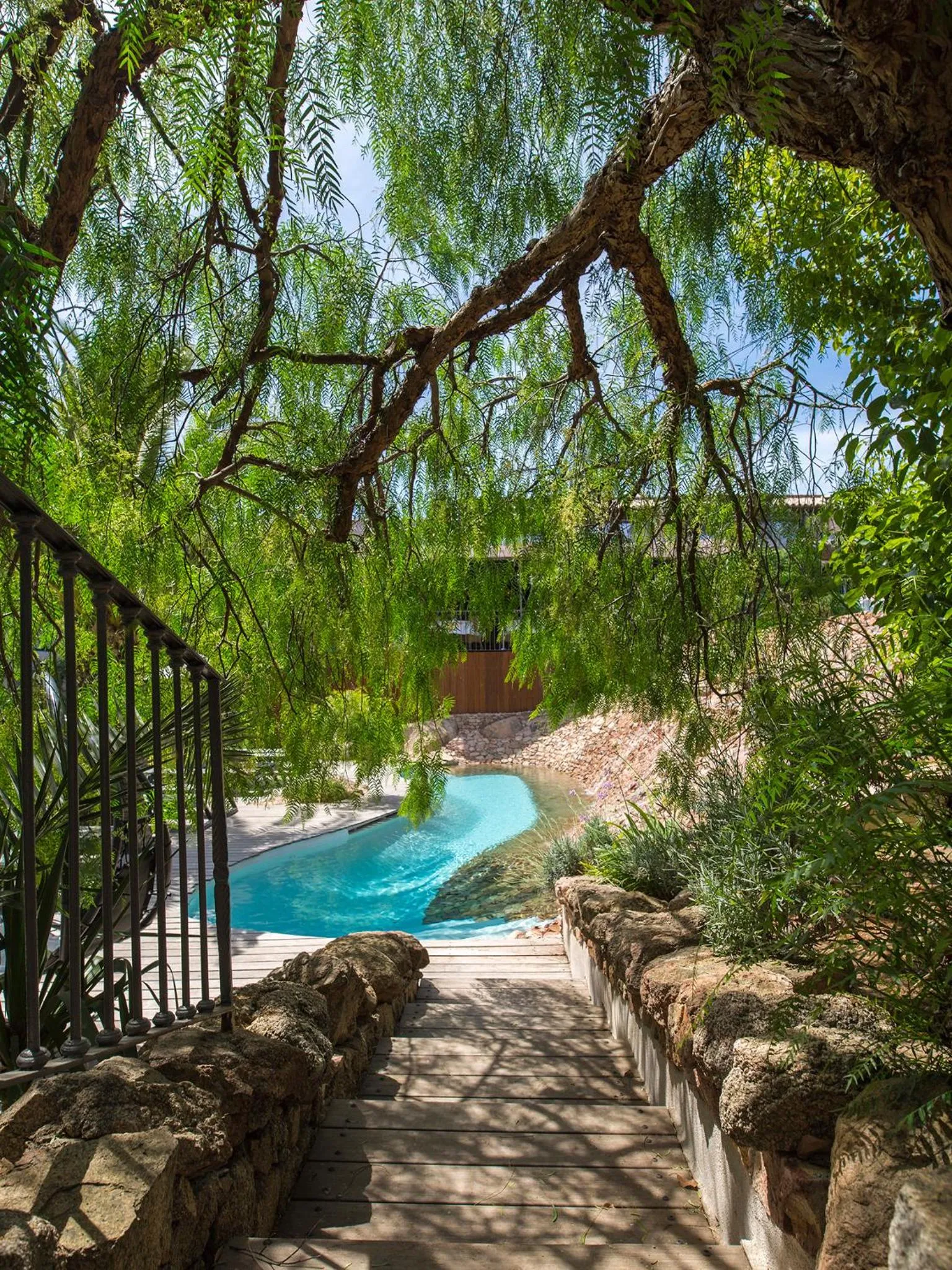 Garden in Hôtel Le Roi Théodore & Spa