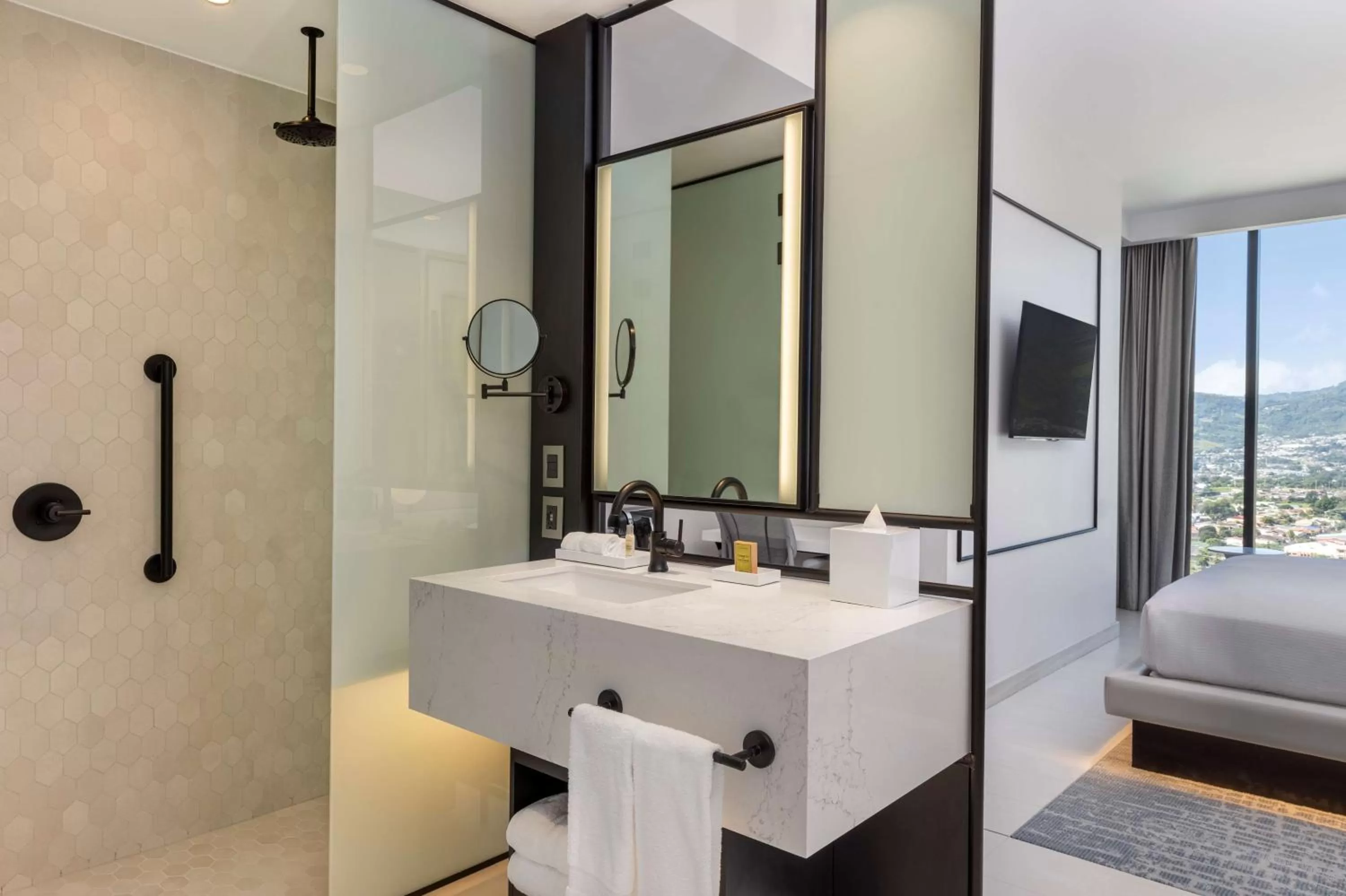 Toilet in Hilton San Jose La Sabana