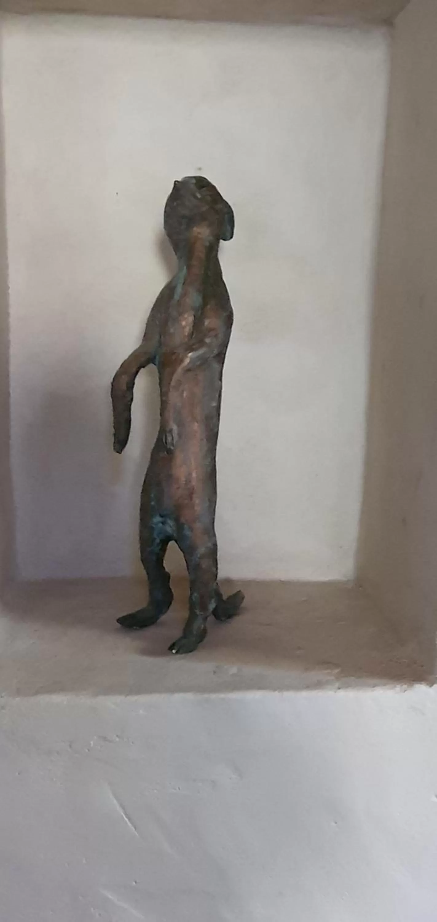 Aux berges du pont du gard