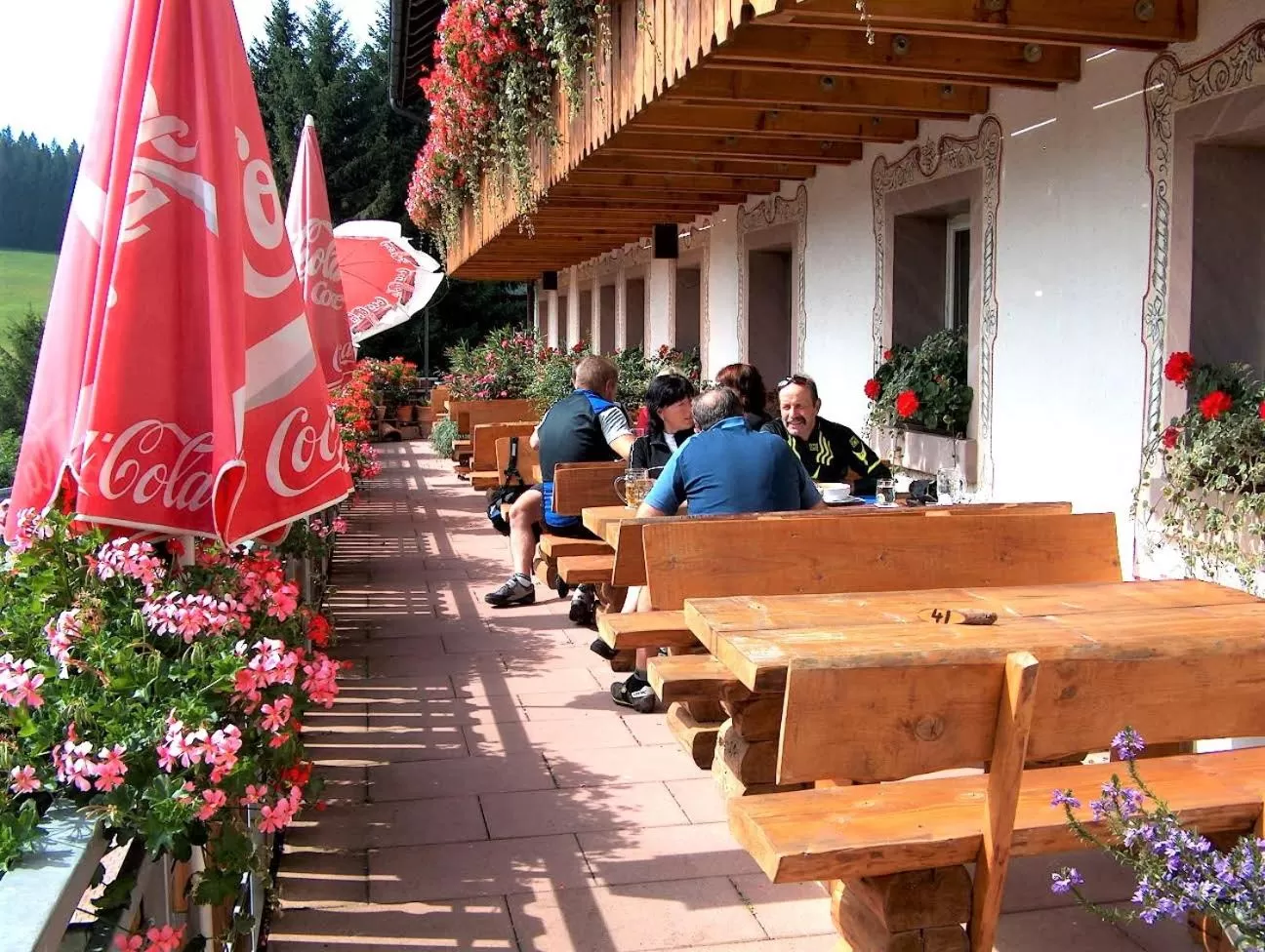 Balcony/Terrace in ZUR TRAUBE Schwarzwaldhotel & Restaurant am Titisee