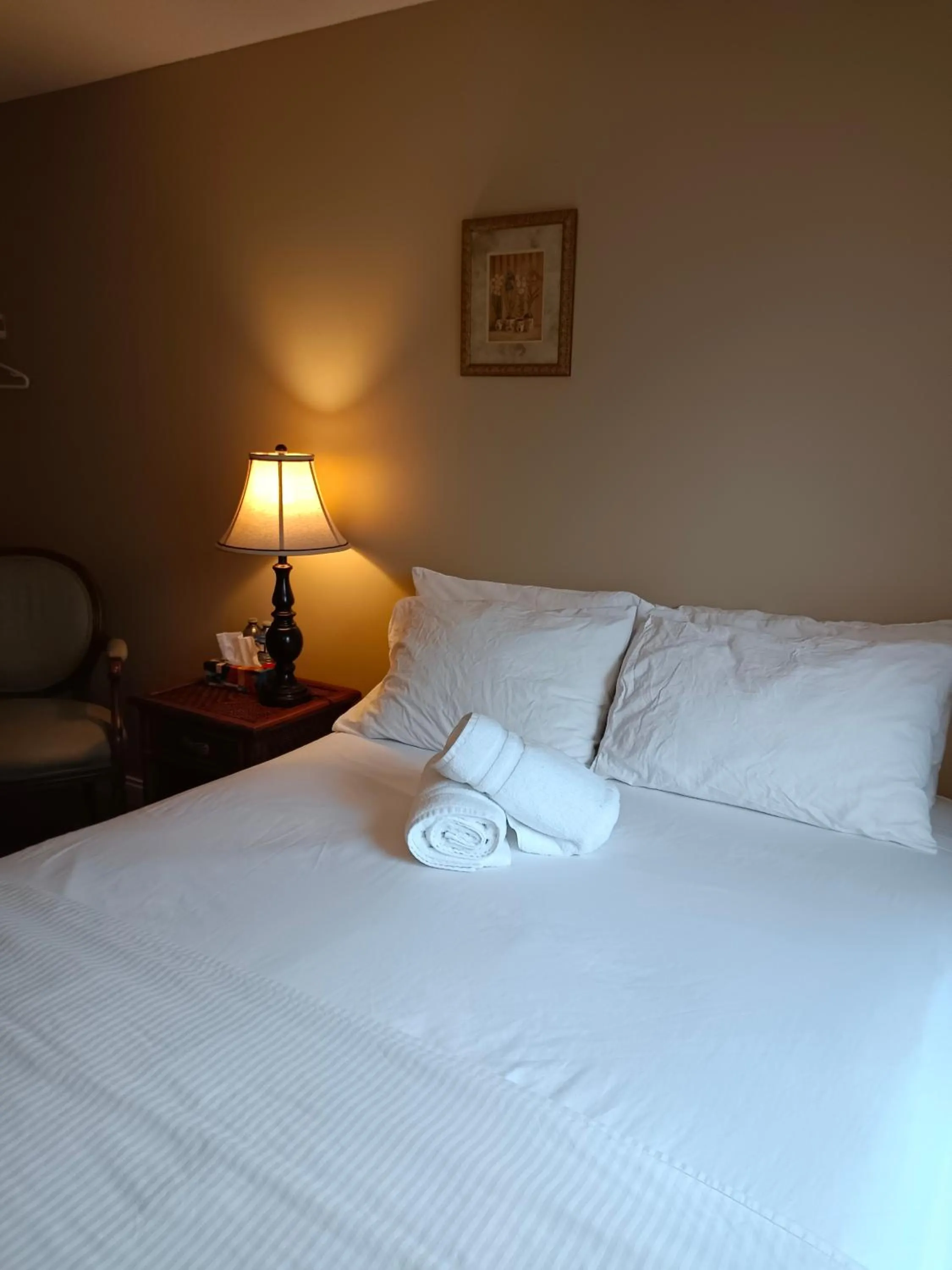 Bed in Painted Turtle Guesthouse