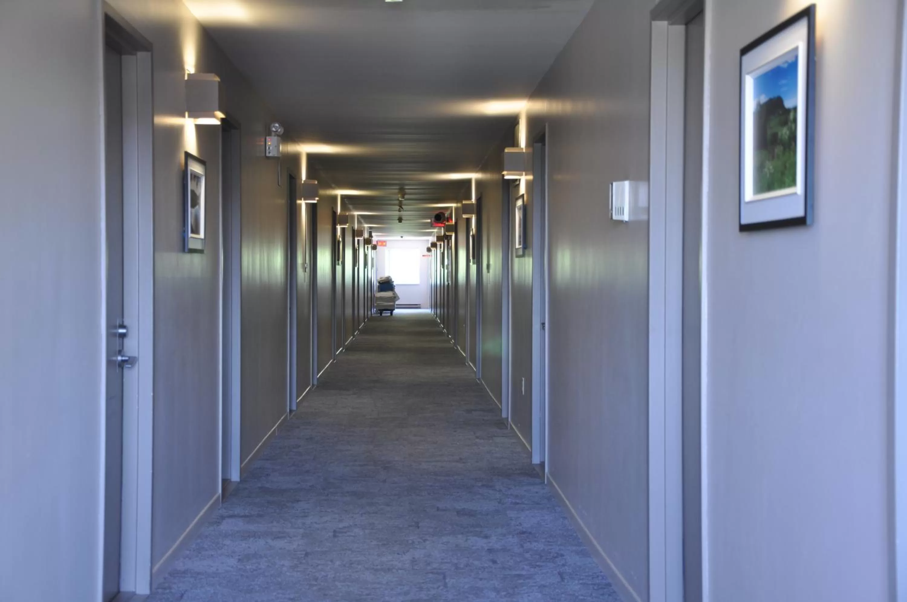 Decorative detail in Hotel Transit