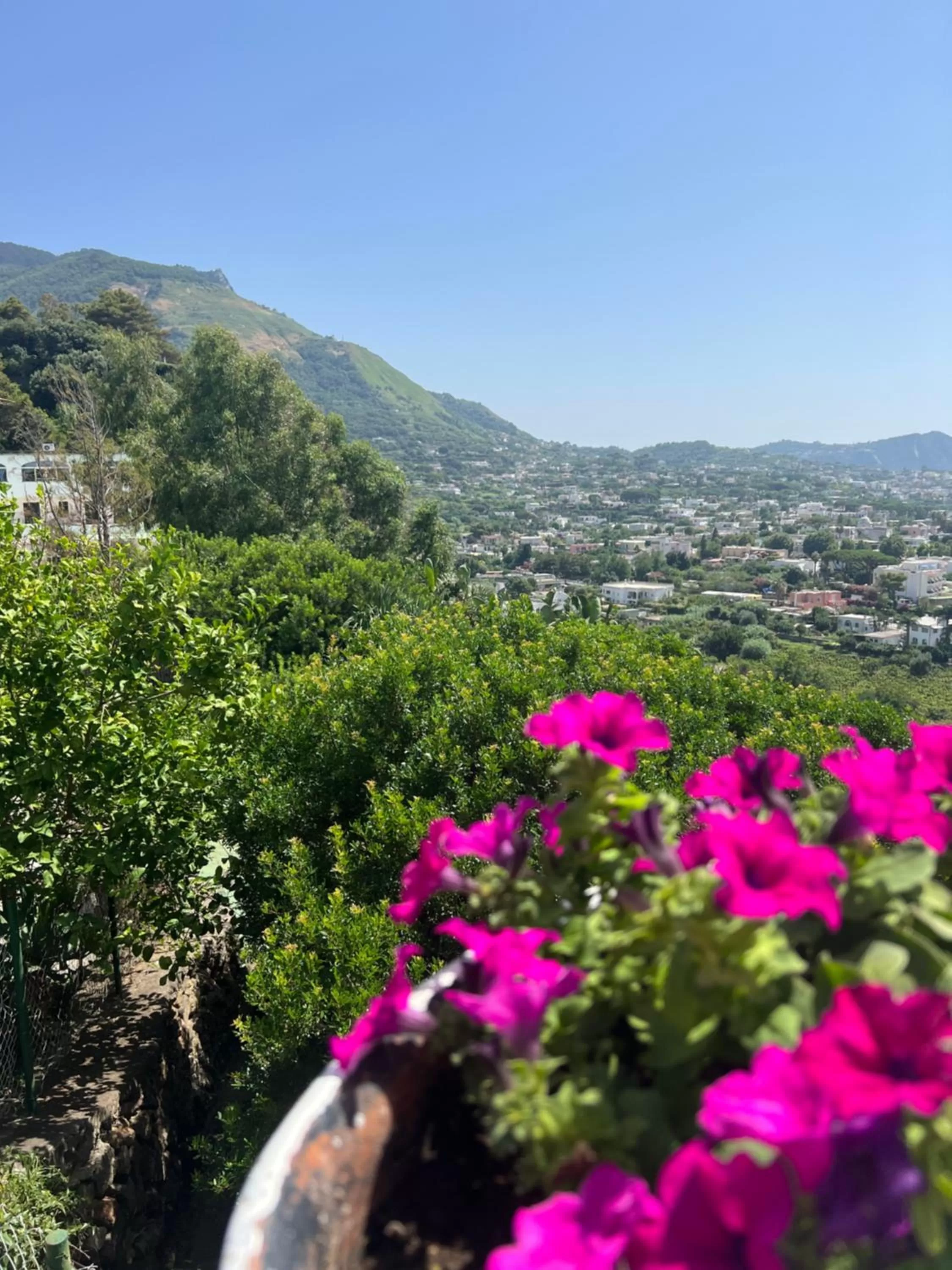 Mountain View in Blu Panorama