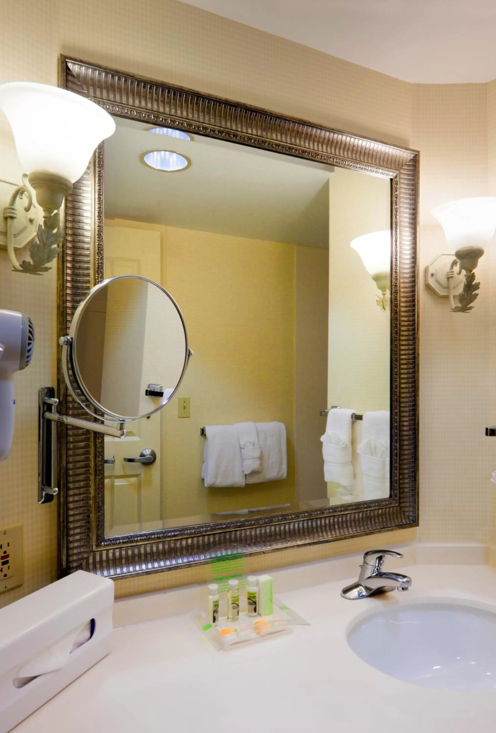 Bathroom in Holiday Inn Chantilly-Dulles Expo Airport by IHG