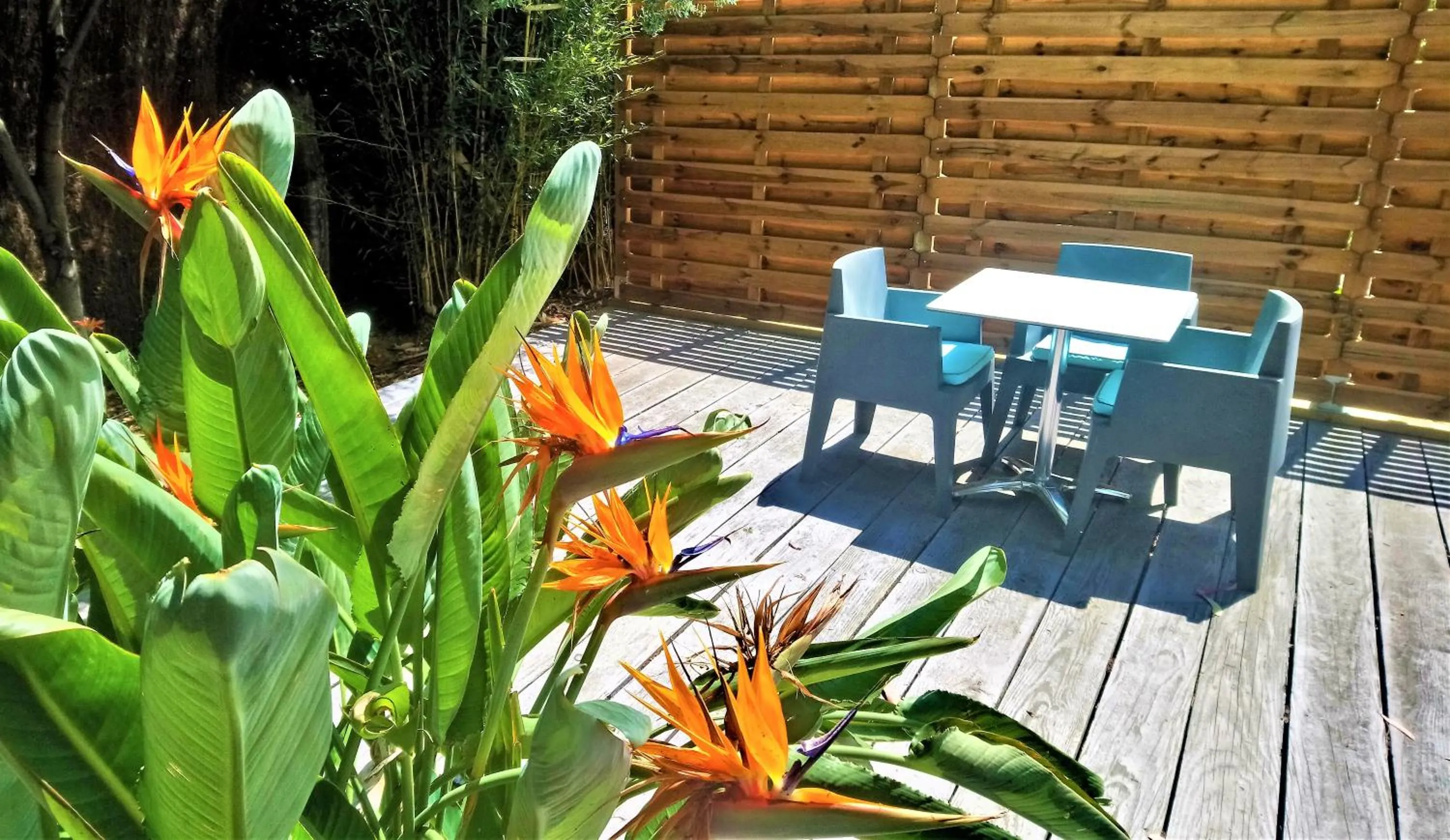 Garden in Les Jardins de Bormes, hôtel adult only avec sauna & jacuzzi