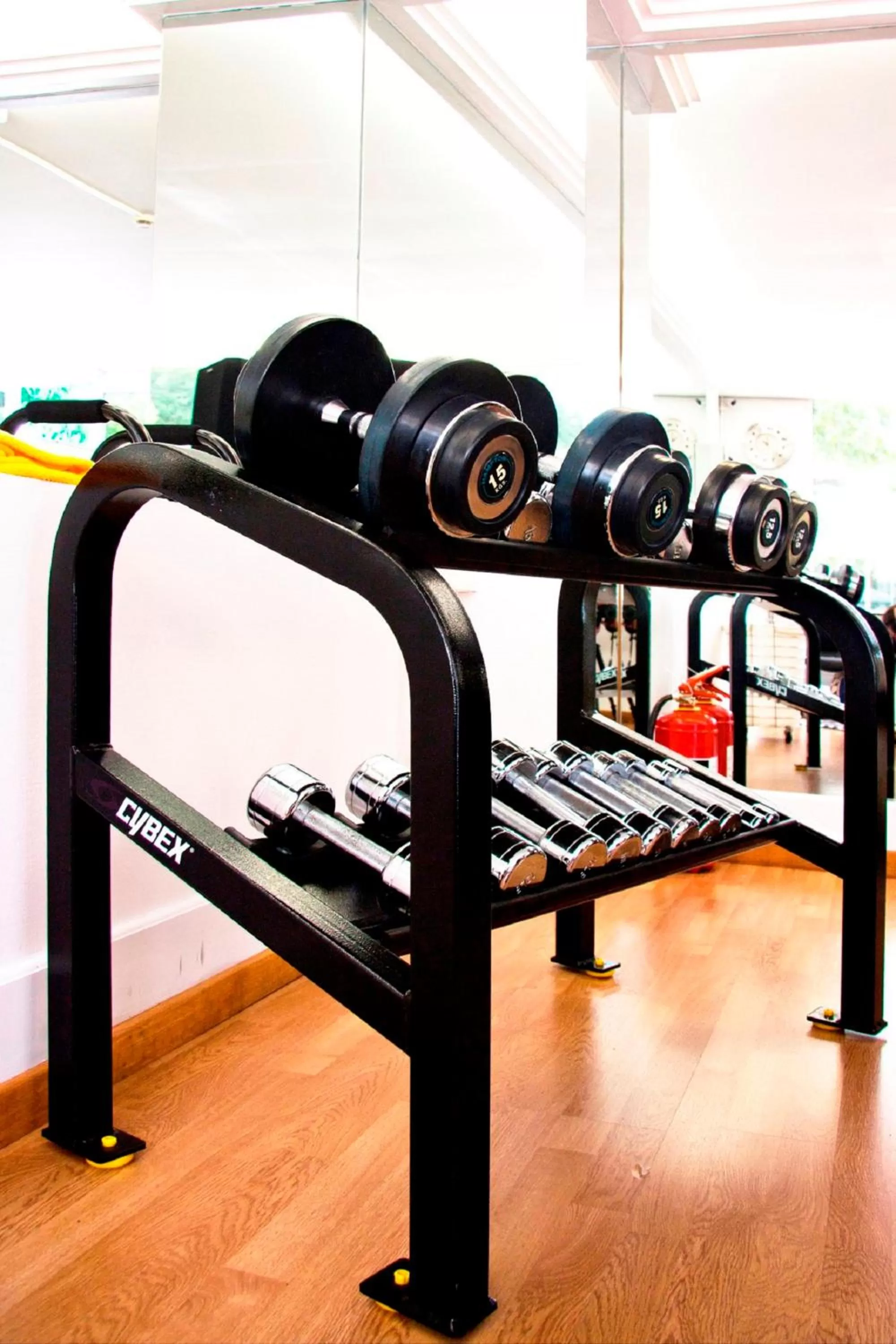 Fitness centre/facilities in Theoxenia Residence