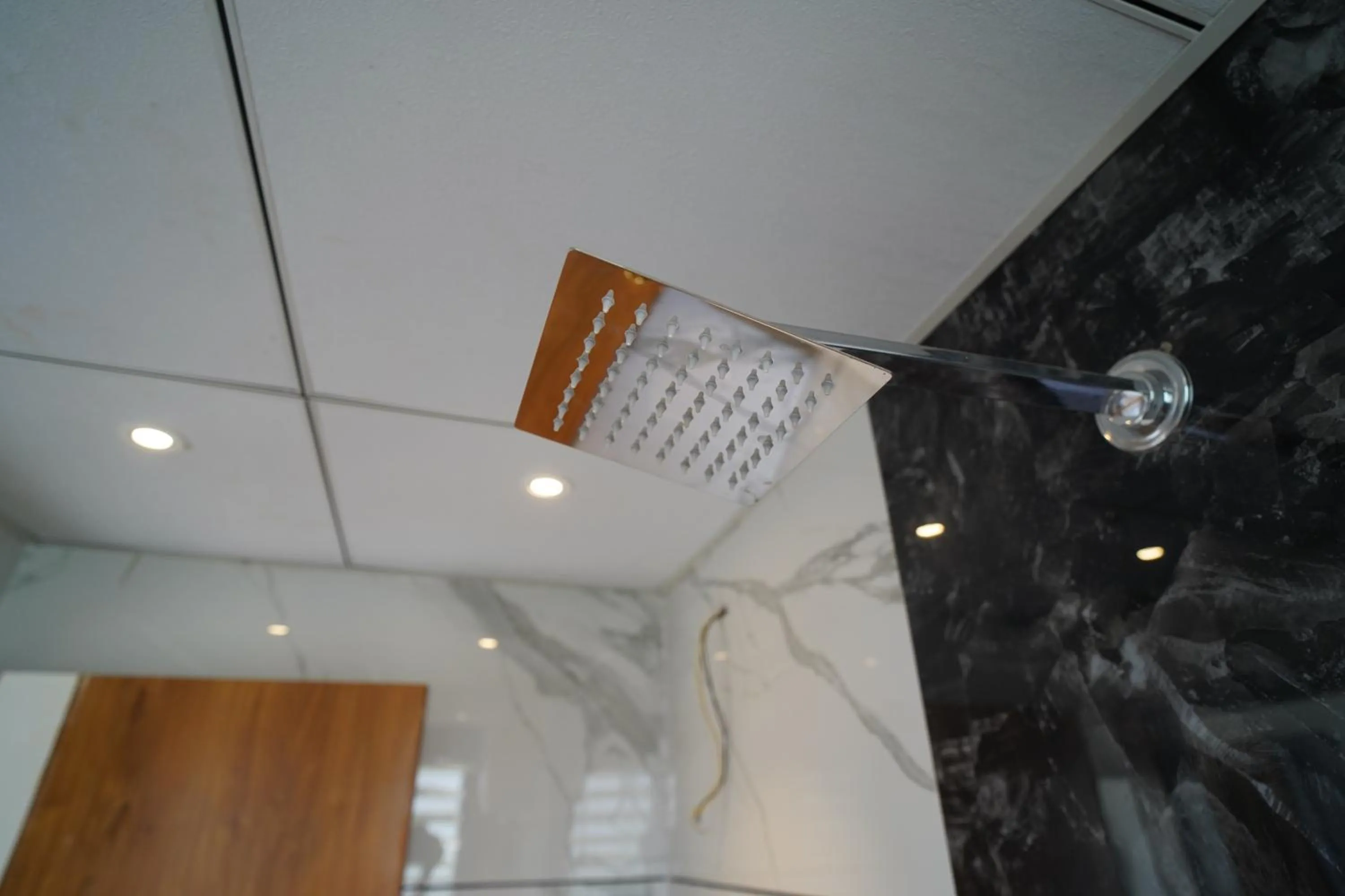 Shower, Bathroom in Hotel Madhavan International