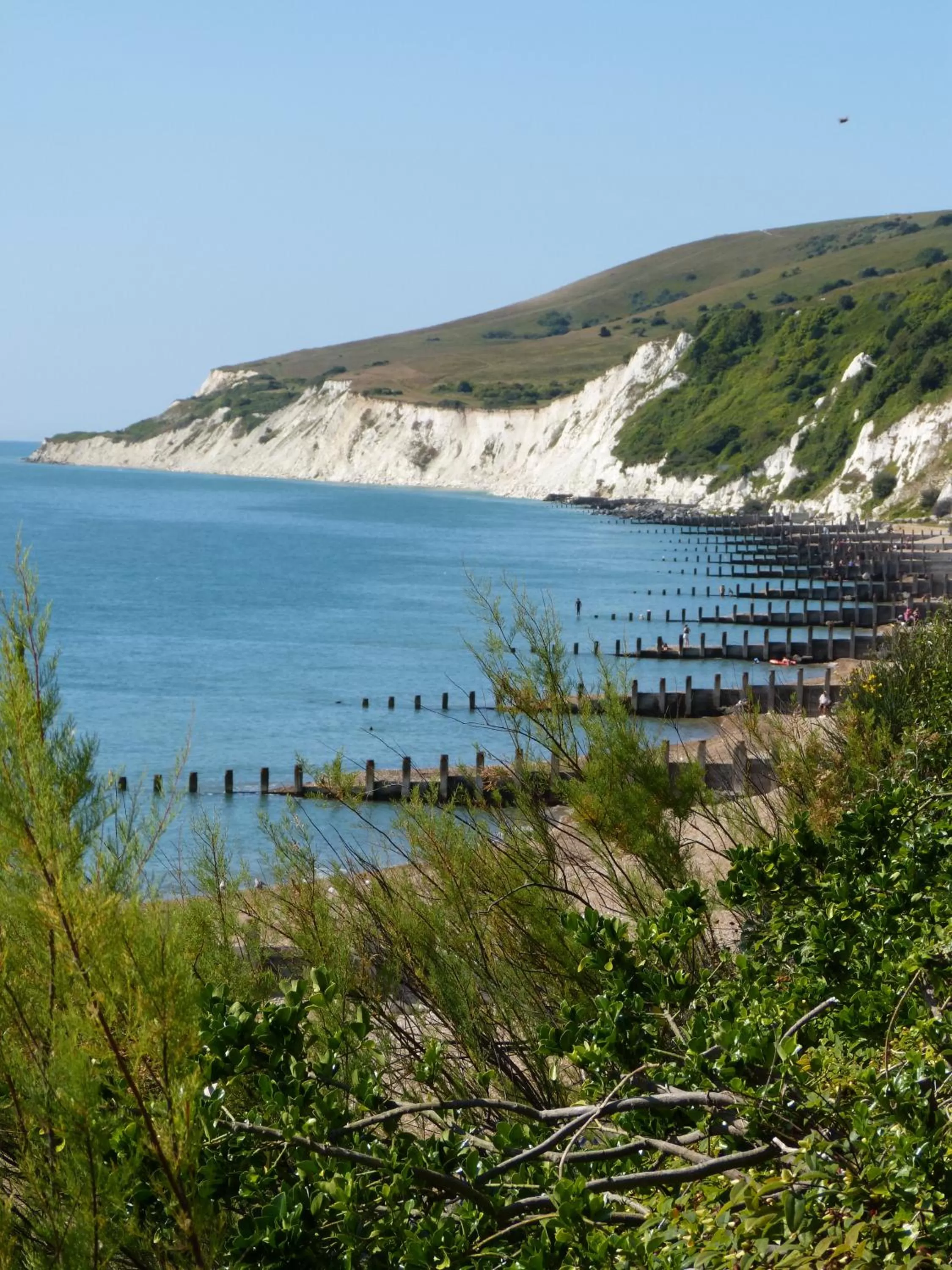 Natural landscape in The Iverna