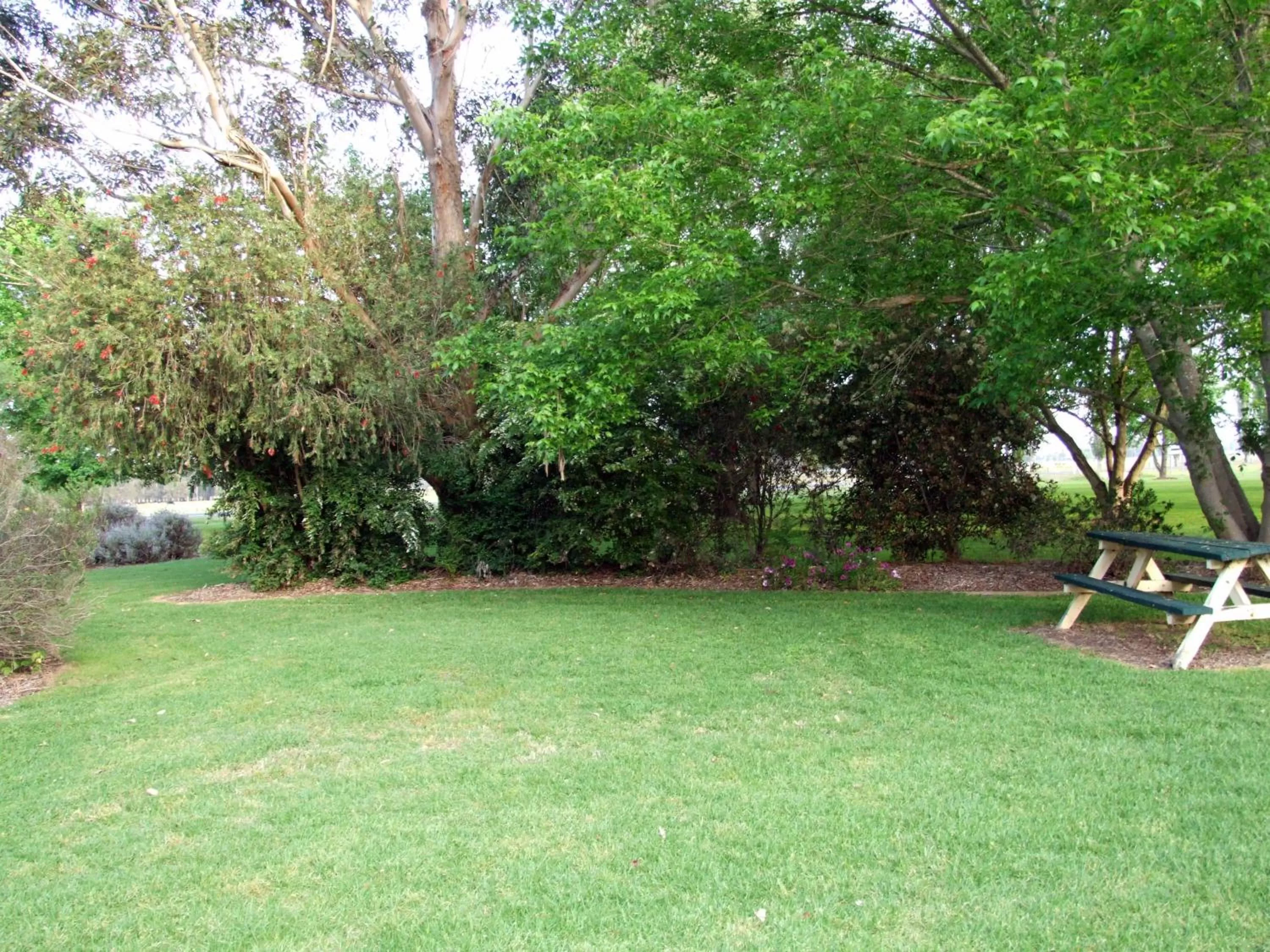 Garden in Moruya Motel
