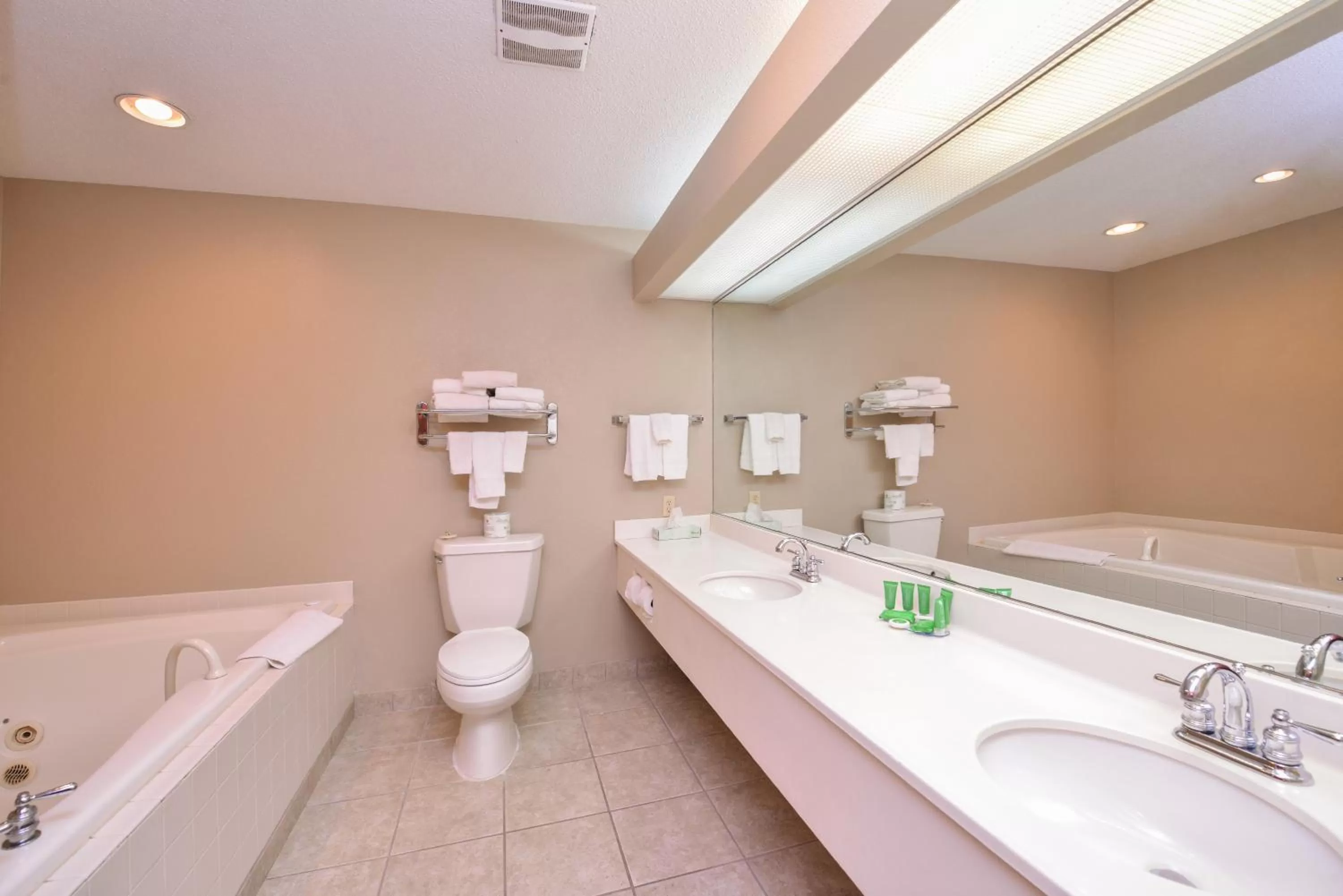 Bathroom in Baymont by Wyndham Sioux Falls North,I-29,Russell St, Airport