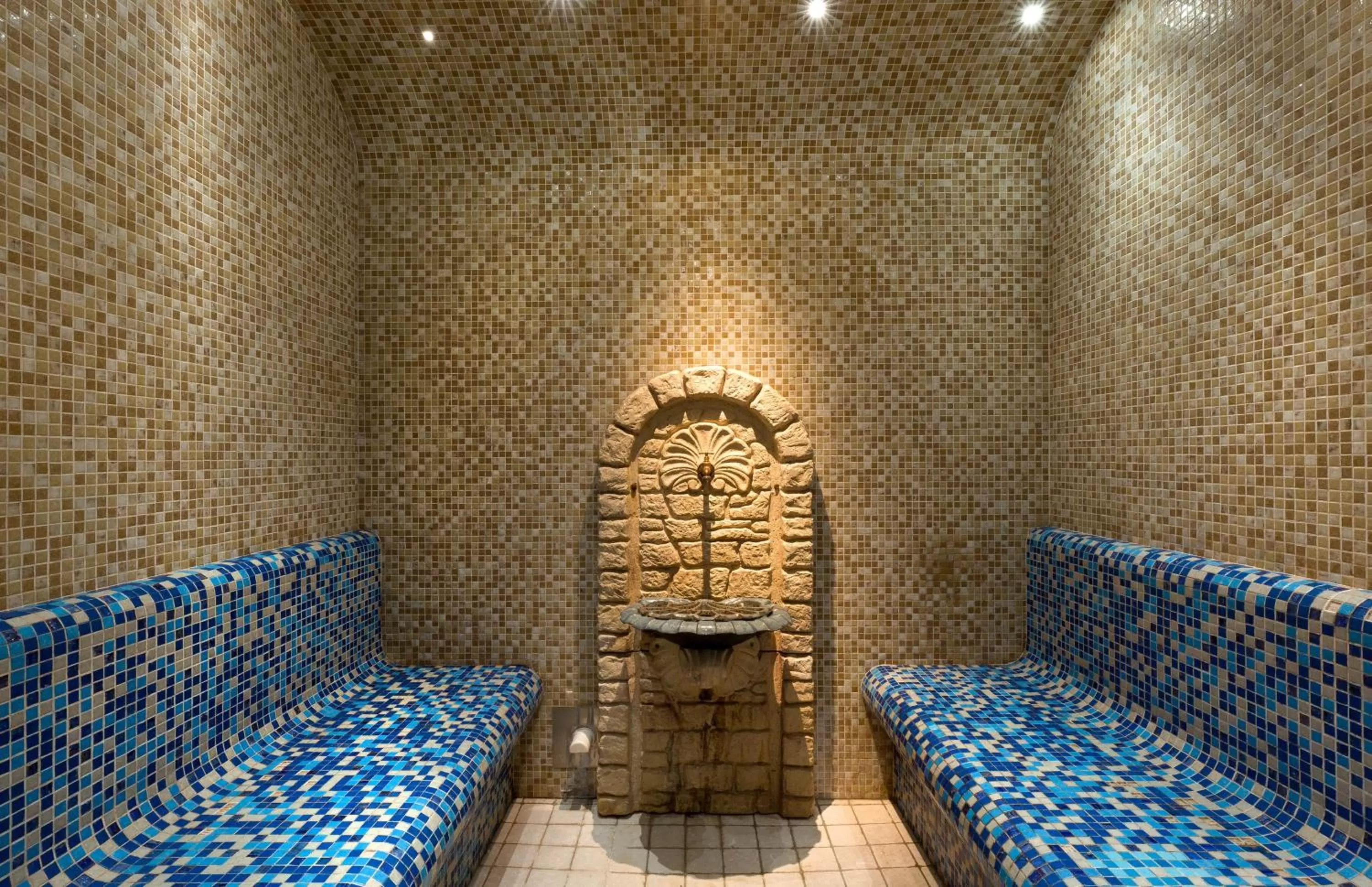 Steam room in Rochester Champs Elysees