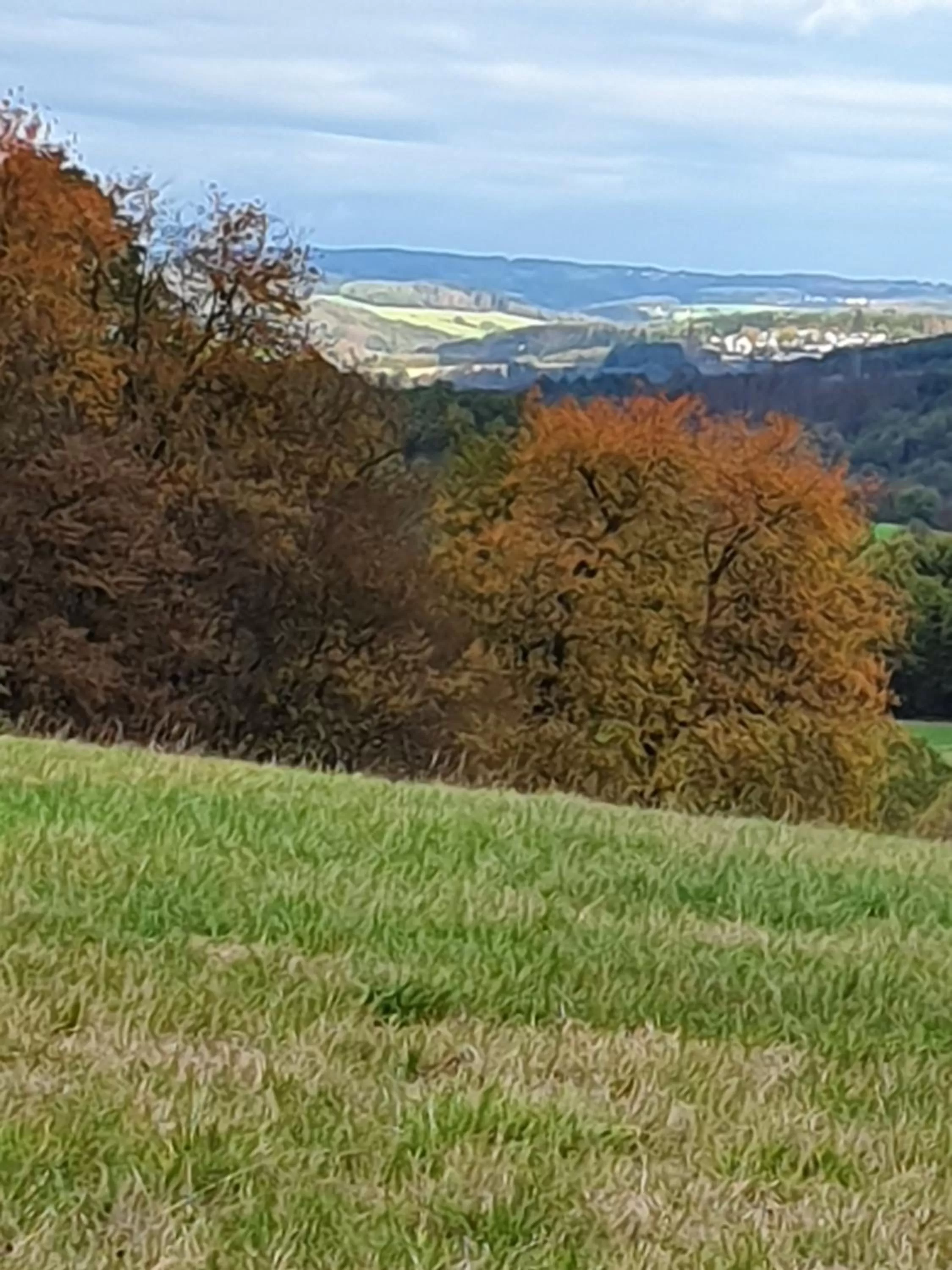 Hiking in Romantik Hotel Alte Vogtei