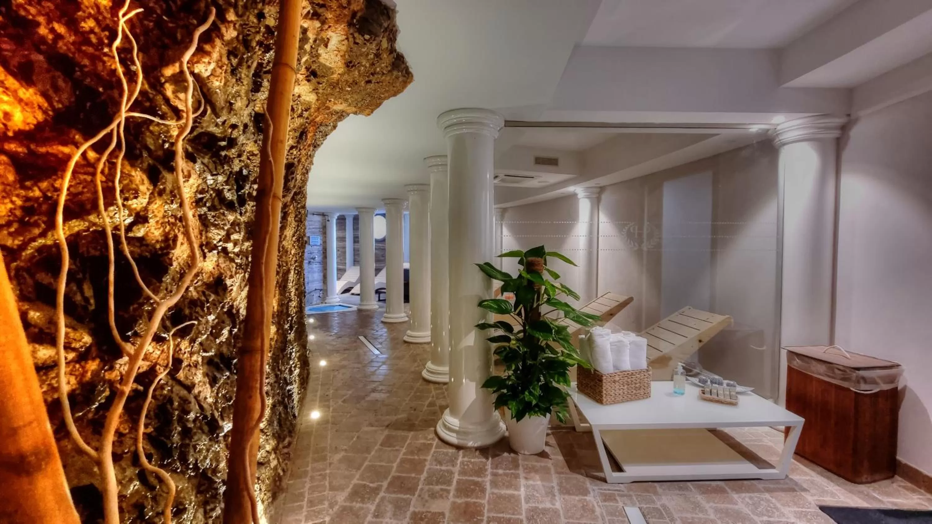 Spa and wellness centre/facilities in Hotel Plaza