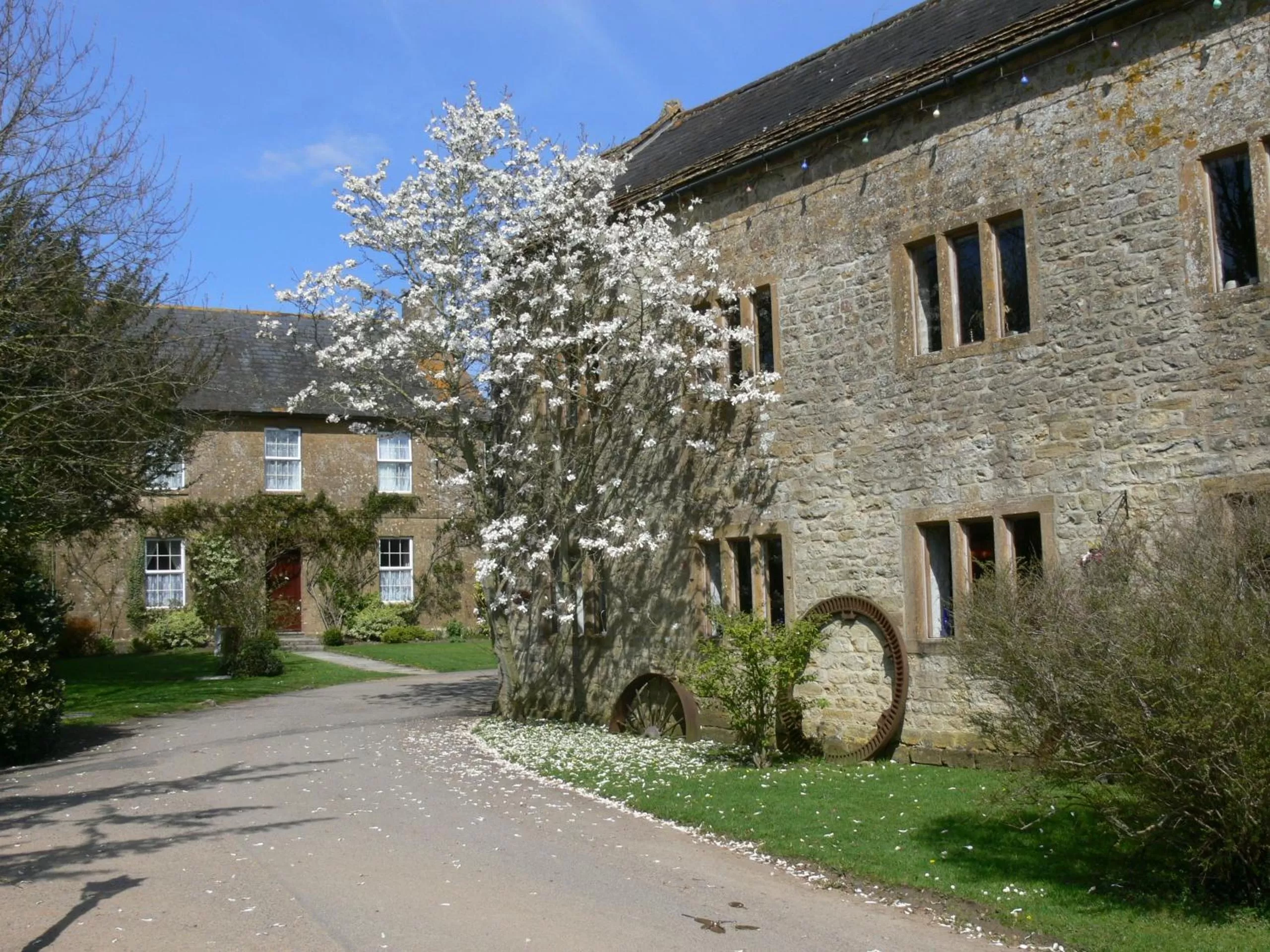 Spring in Haselbury Mill