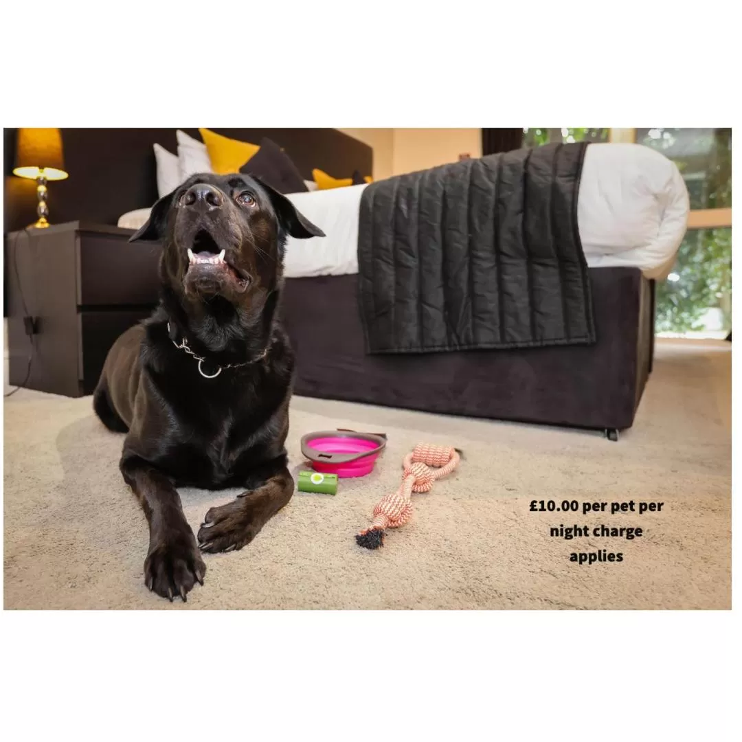 Pets in The Ashleigh - Dog Friendly