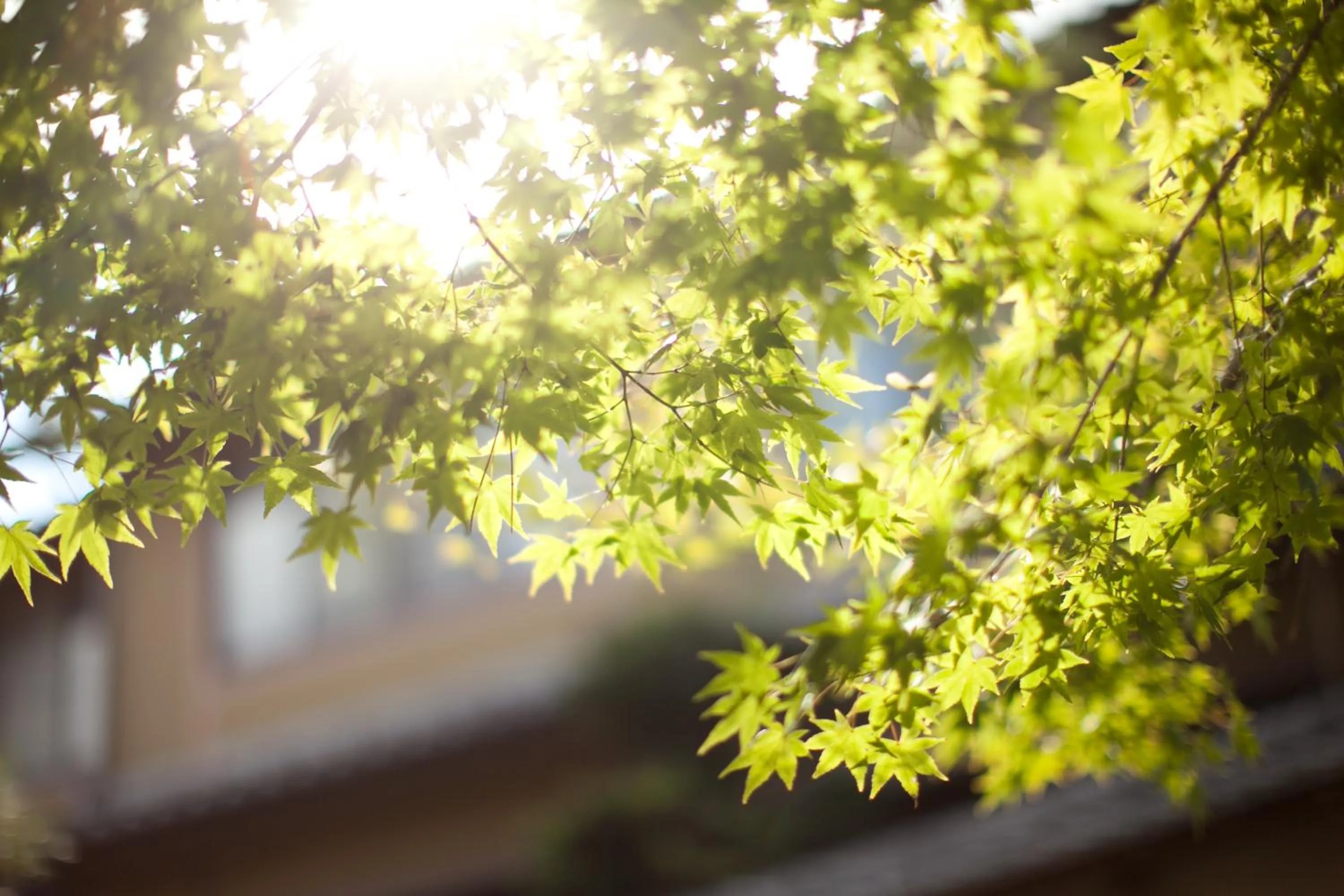 Other in Kyoto Nanzenji Ryokan Yachiyo Established in 1915