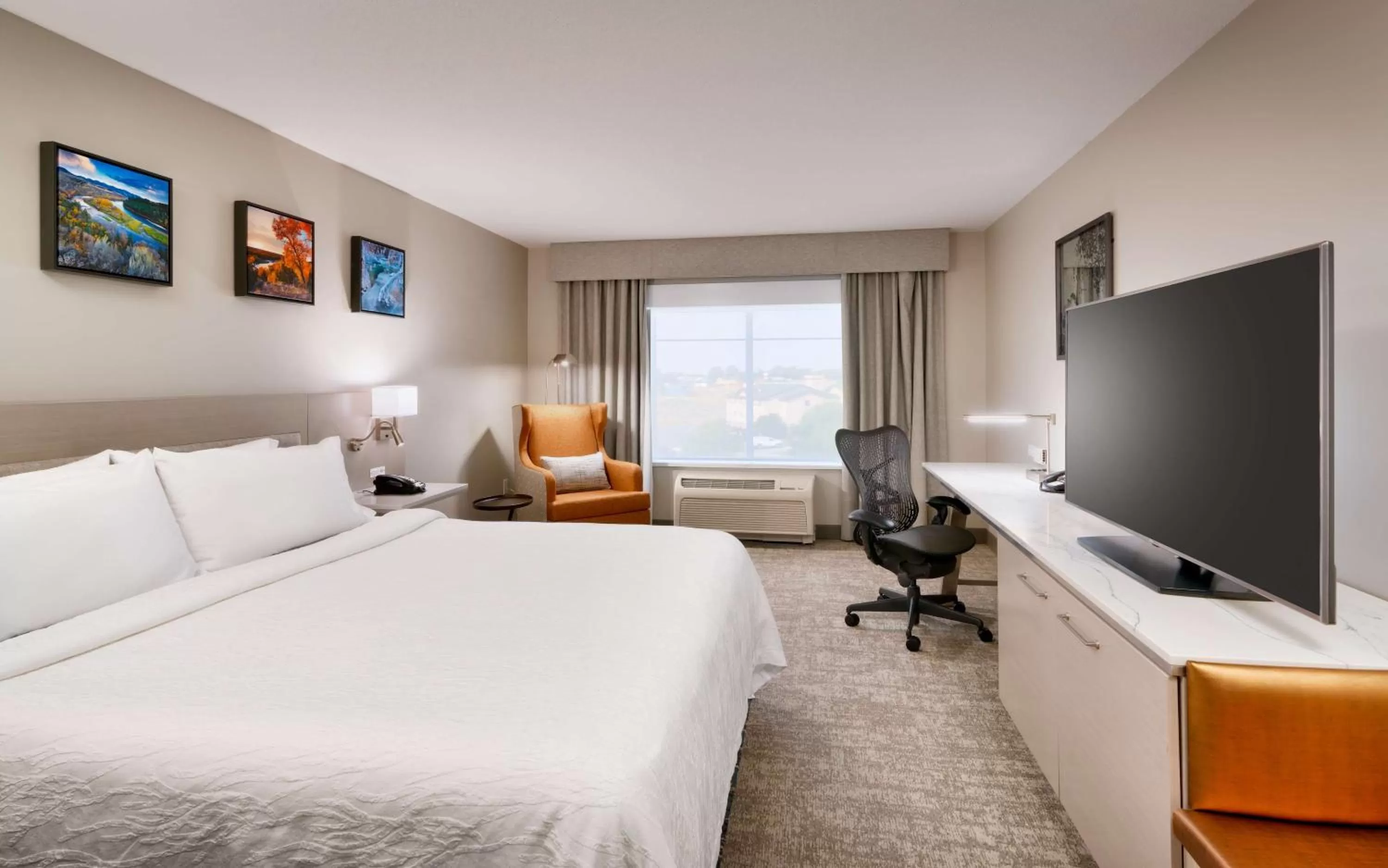 Bedroom, Bed in Hilton Garden Inn Idaho Falls