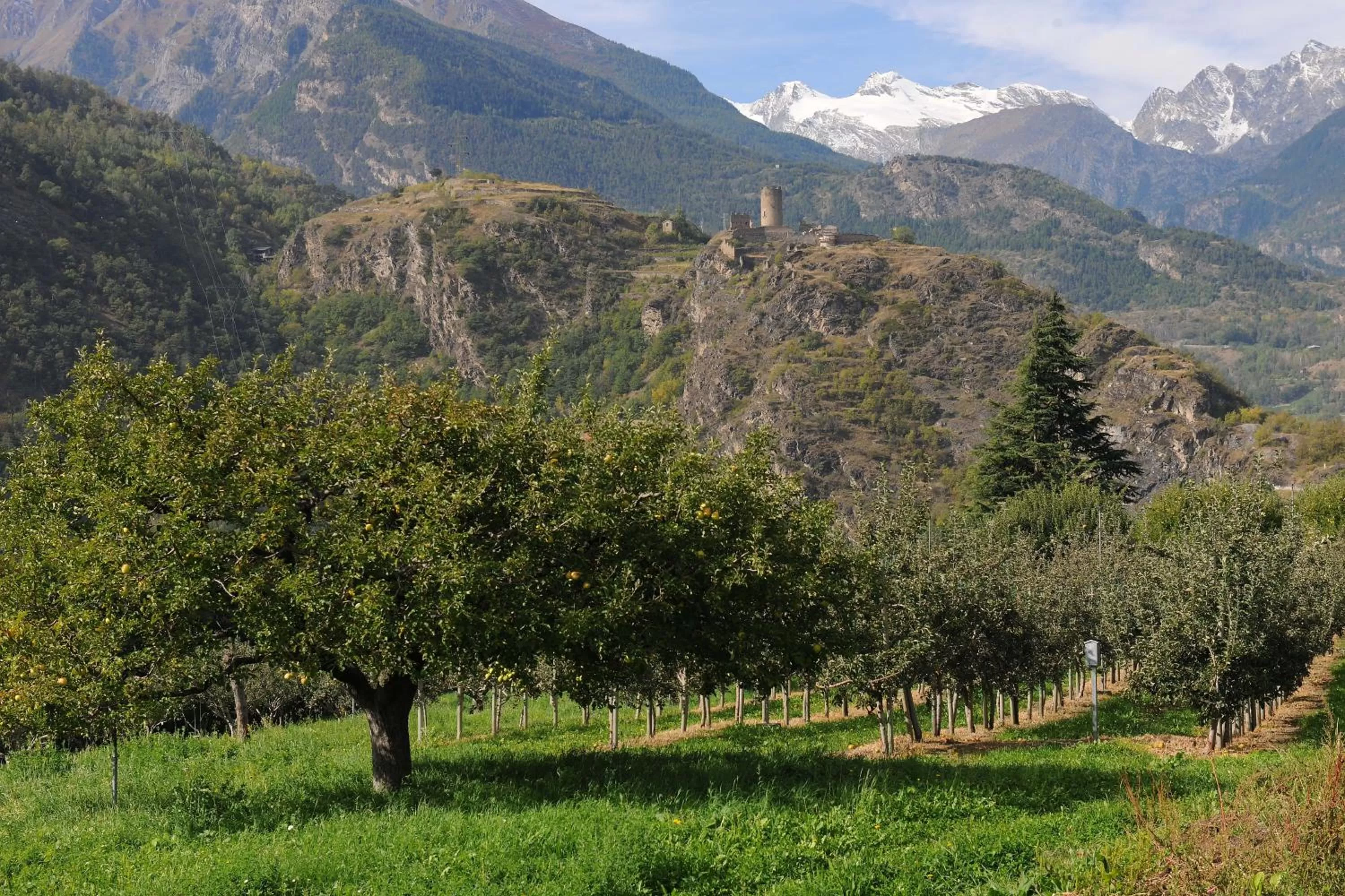 Activities in Hotel Chalet La Meridiana