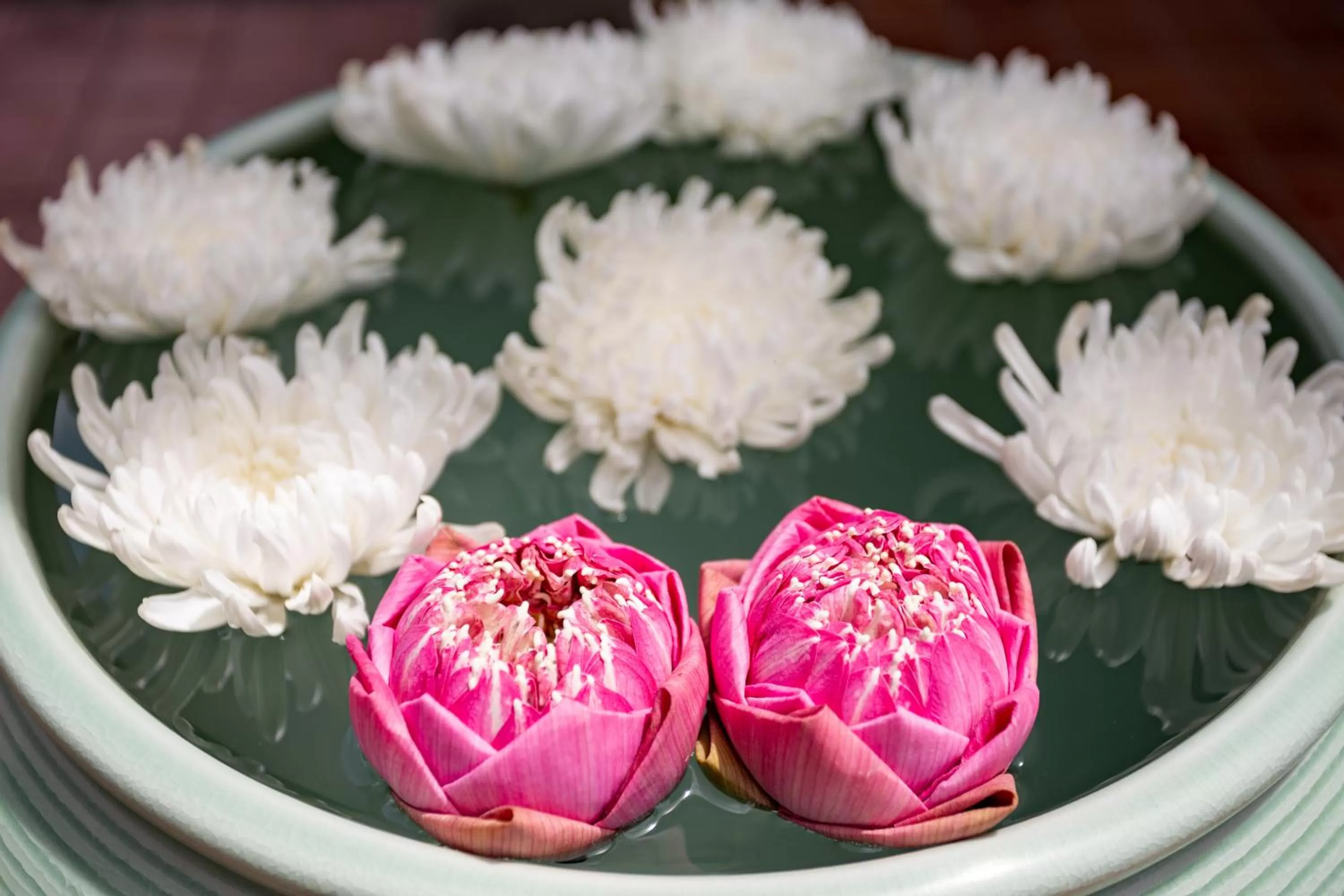 Day in Rimping Village