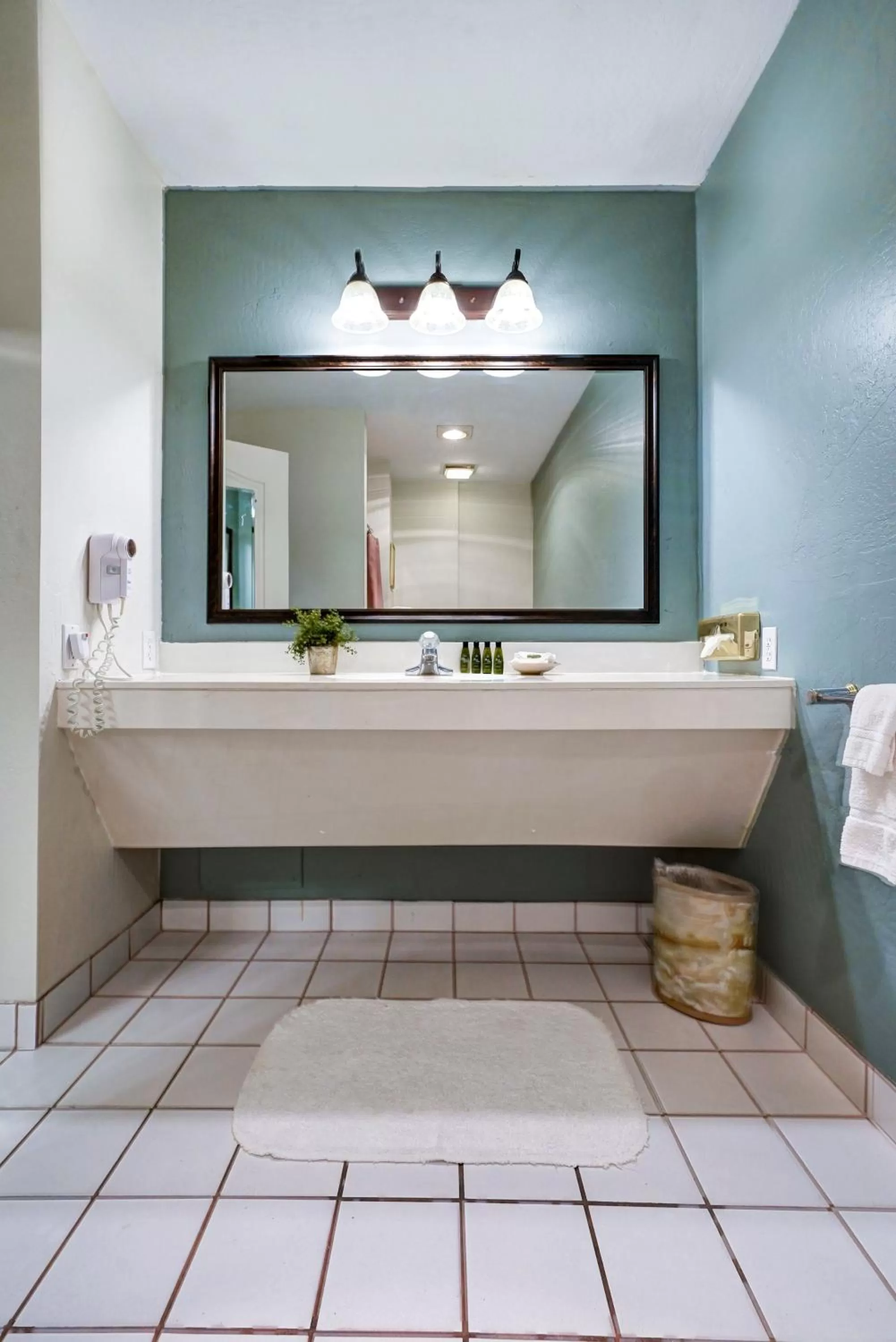 Superior King Accessible Room (No Pets Allowed) in Forest Villas Hotel