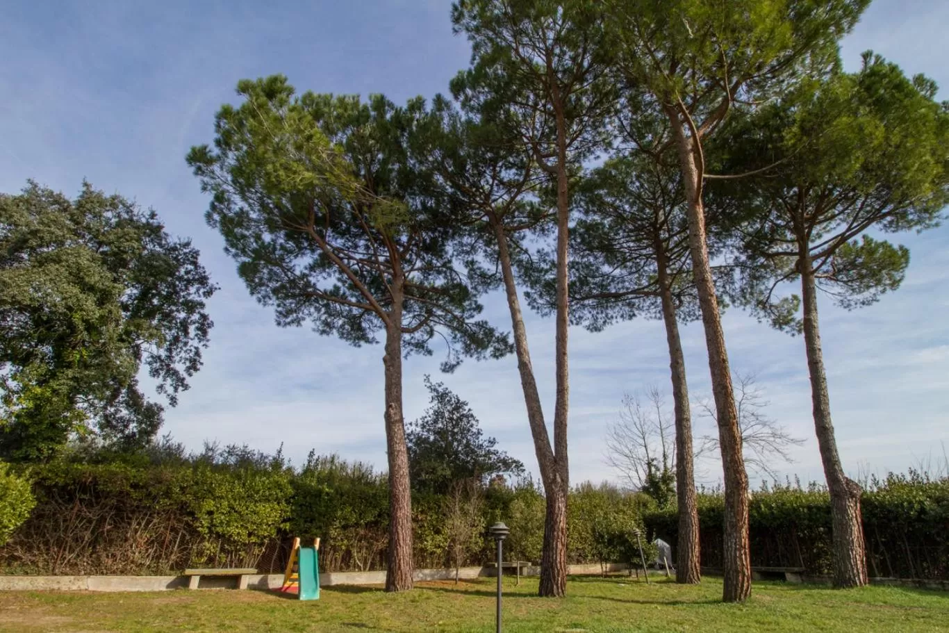 Garden in B&B PALAZZI