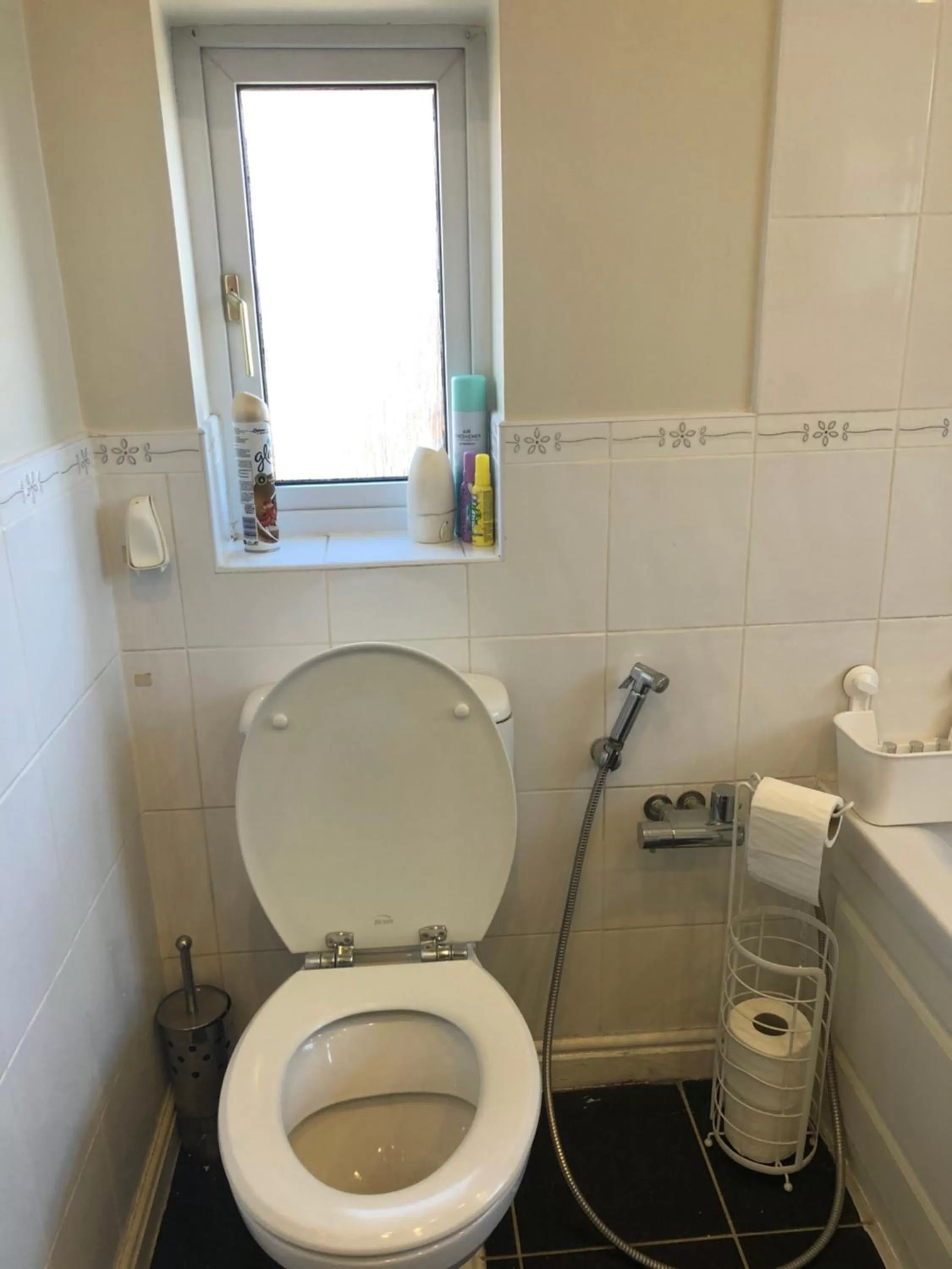 Toilet in Lyndon B&B