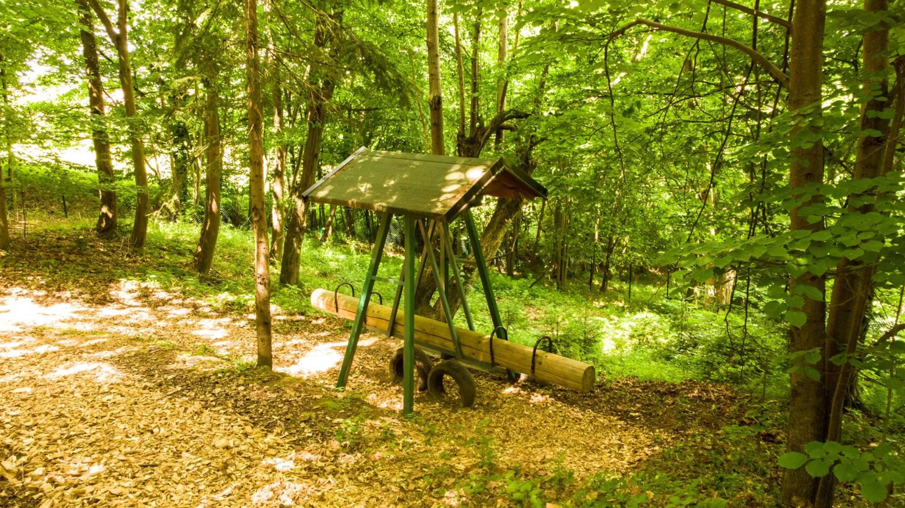 Activities in Adventure Farm