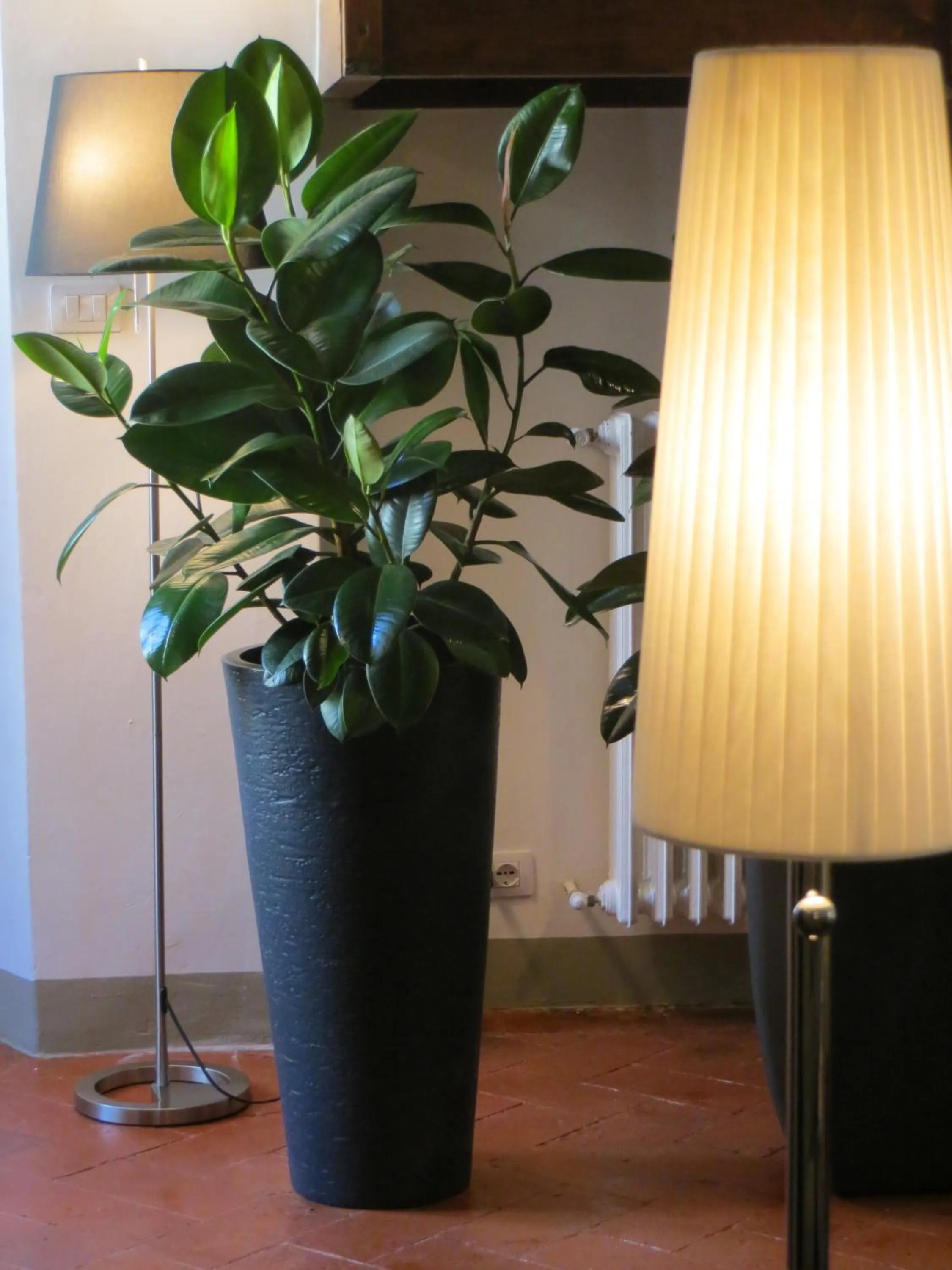 Communal lounge/ TV room in Toscanelli Residenza d'Epoca