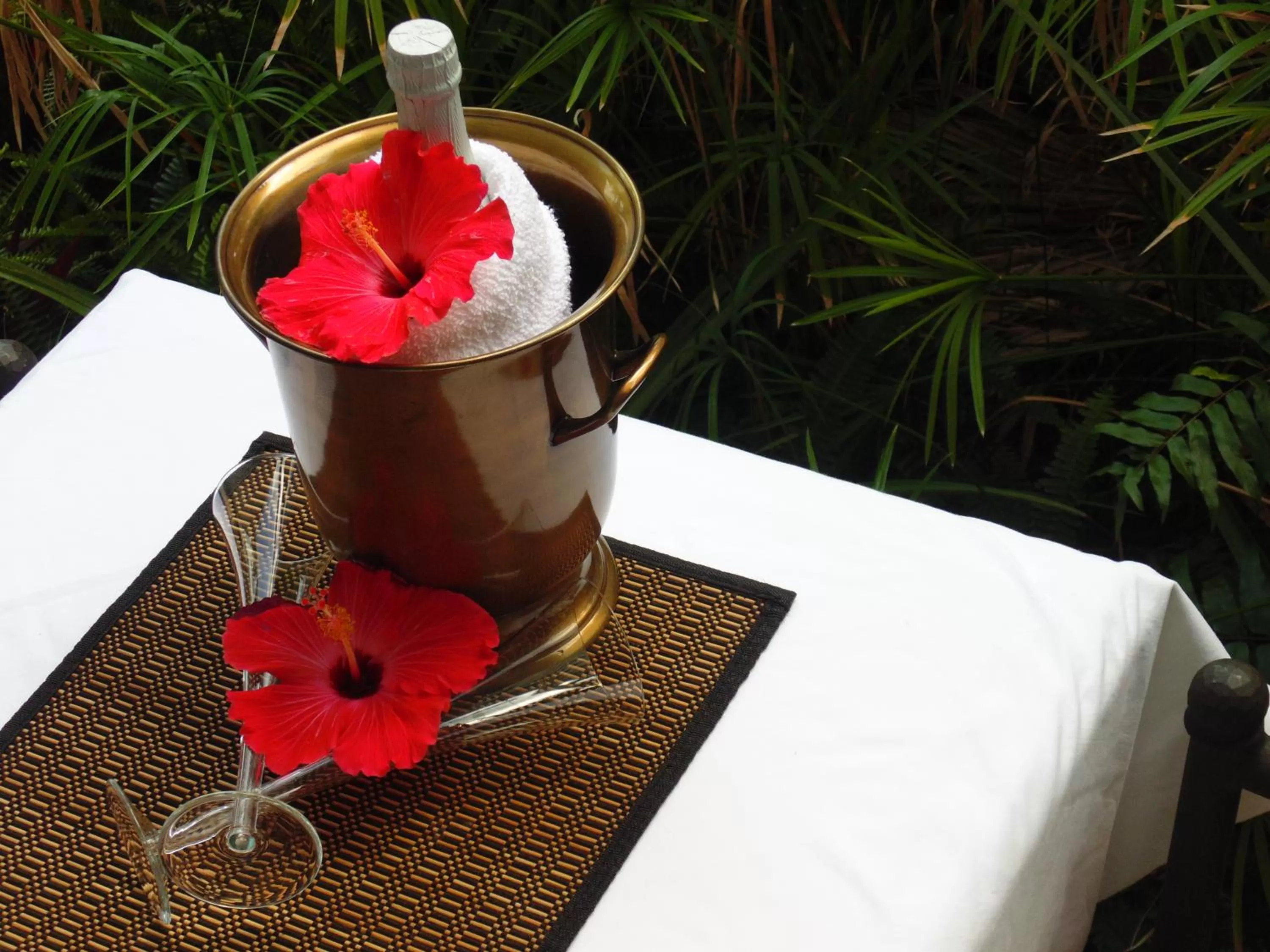 Garden, Drinks in Cheston House - Clothing Optional All Male Guesthouse