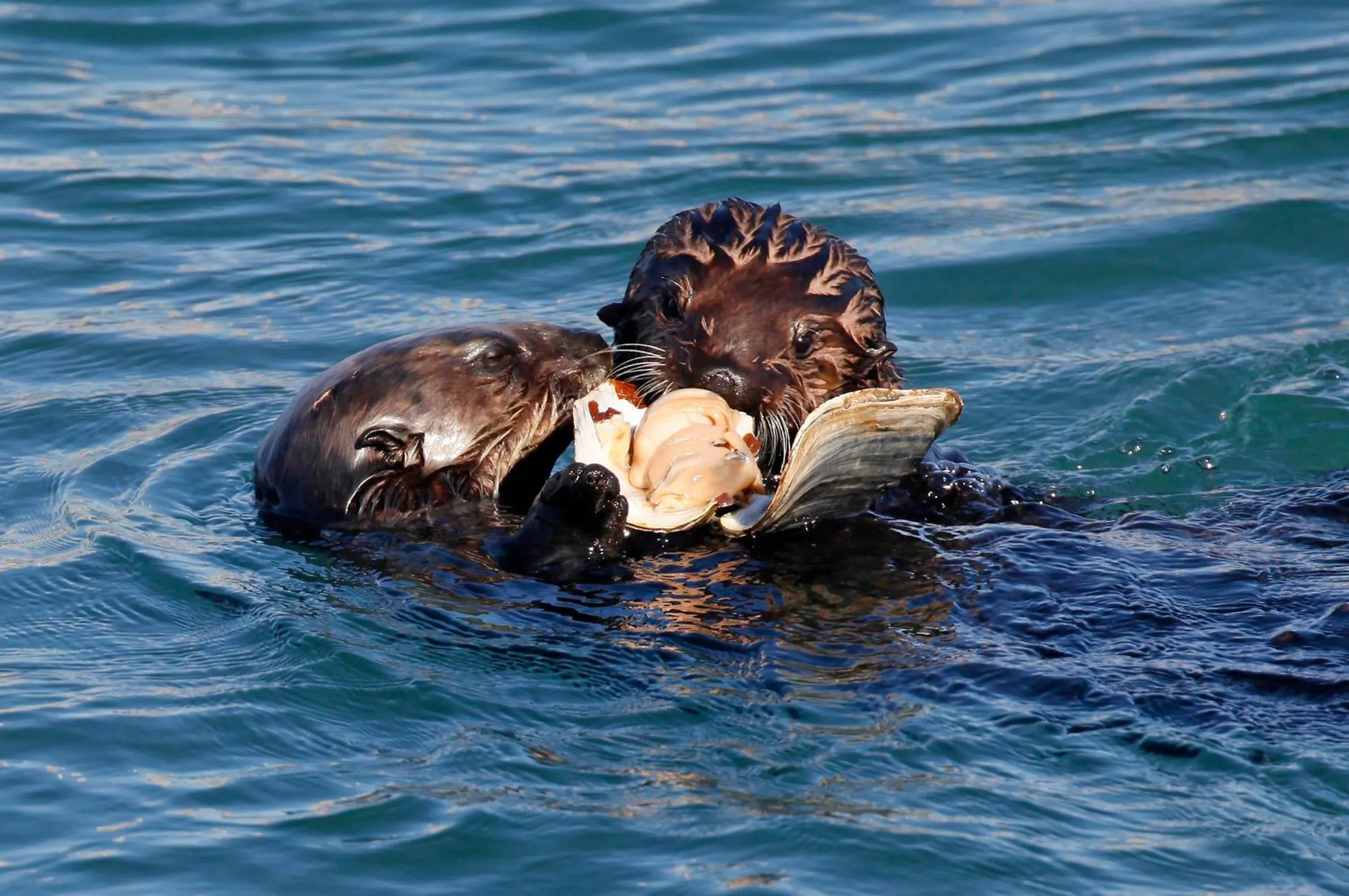 Day in Blue Sail Inn