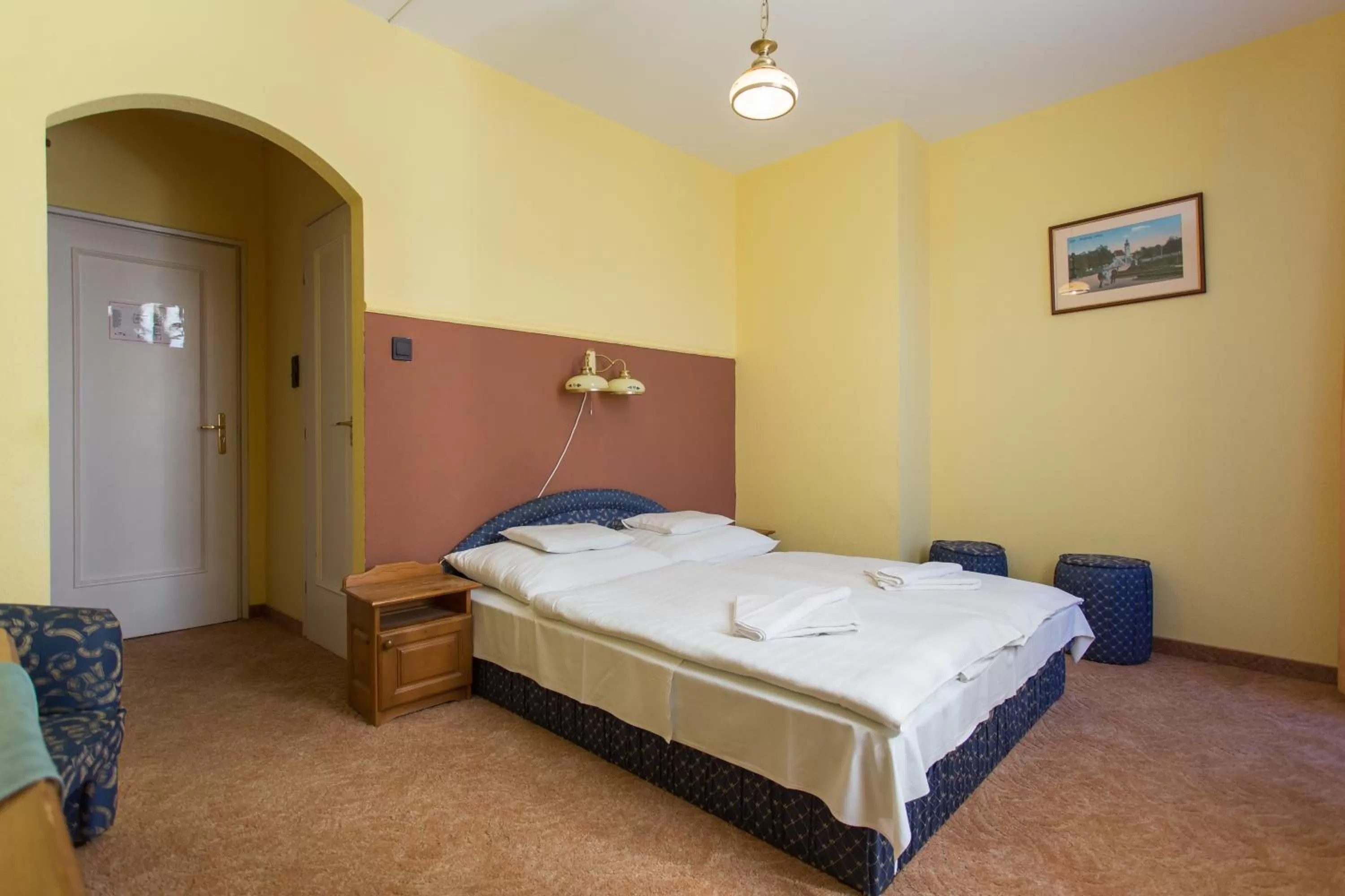 Standard Twin Room - single occupancy in Révész Hotel, Restaurant and Rosa Spa