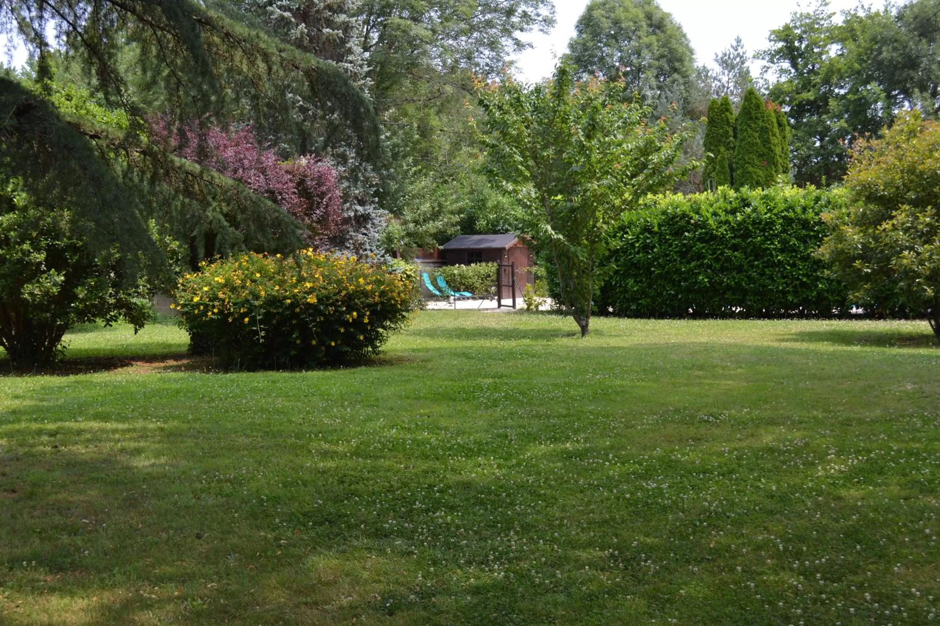 Garden in Les Bruyeres B&B