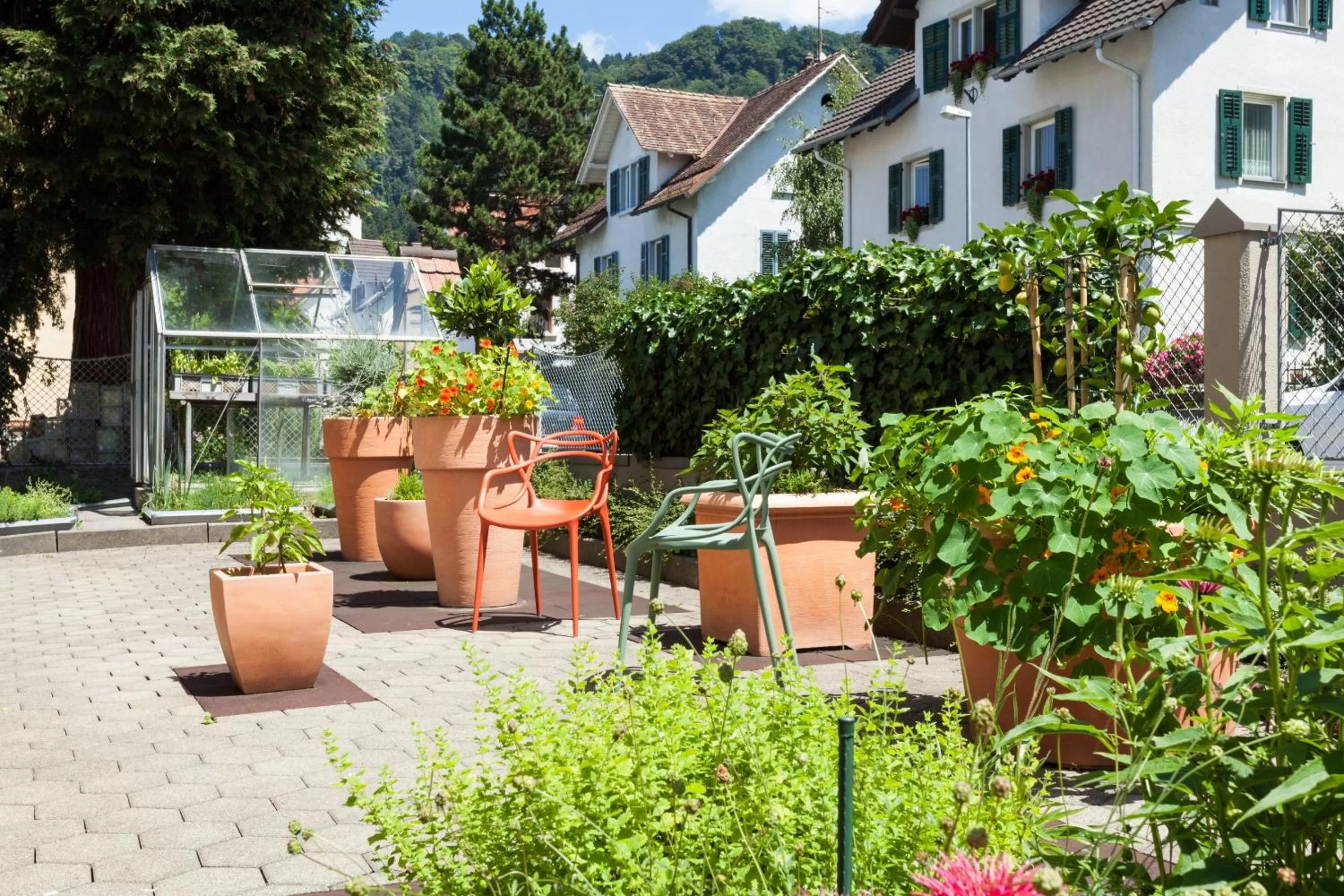 Garden in Hotel Germania