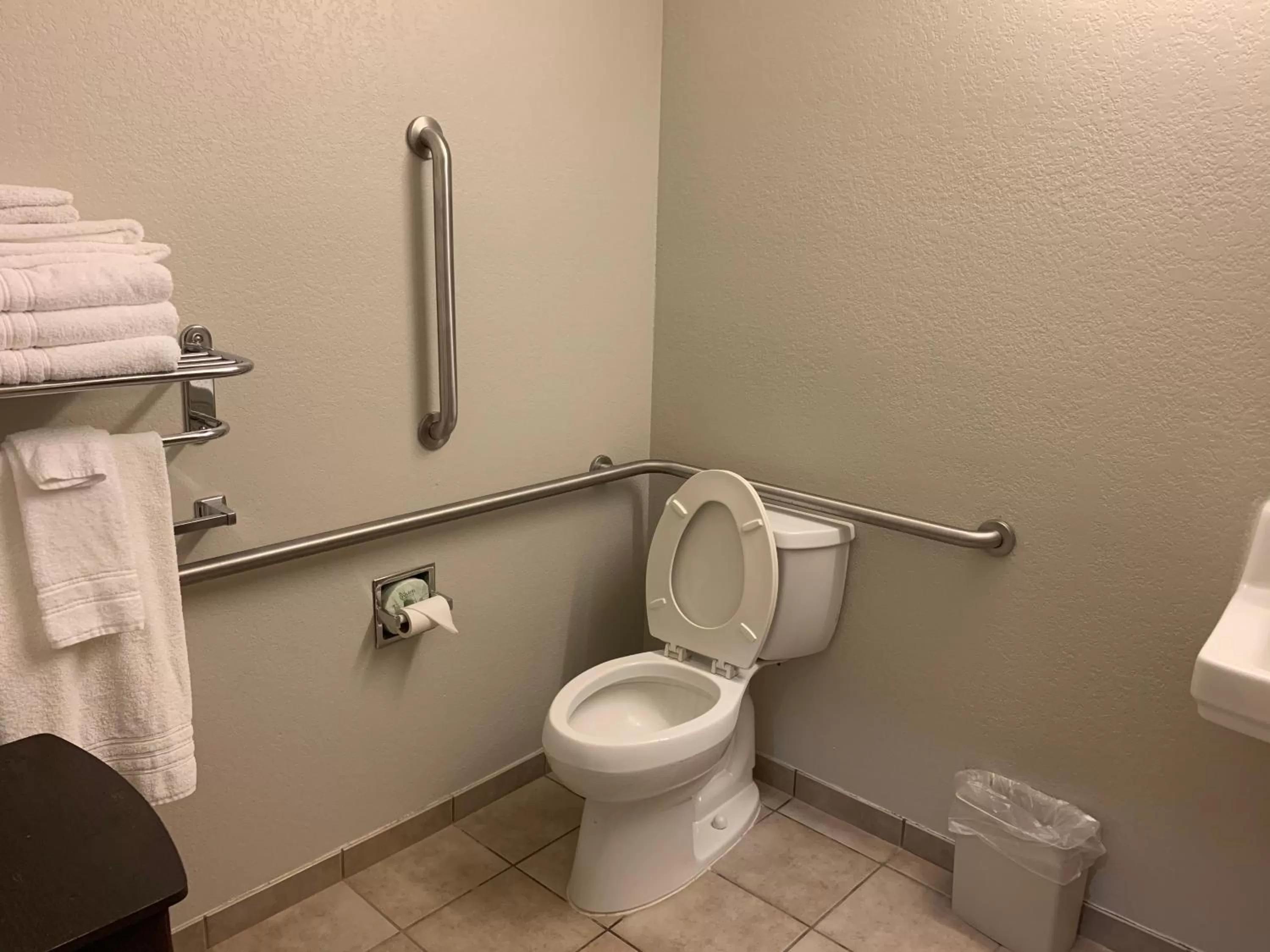 Toilet in Microtel Inn & Suites by Wyndham Pearl River/Slidell